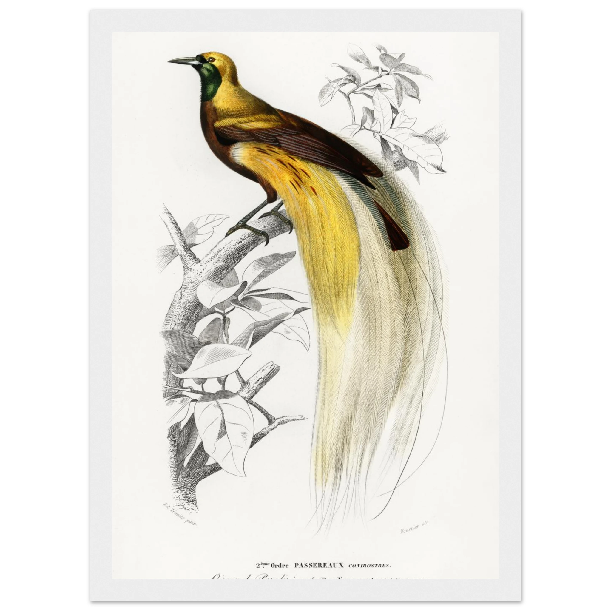 4749e438-60ea-462c-a72b-e4739d062a7e