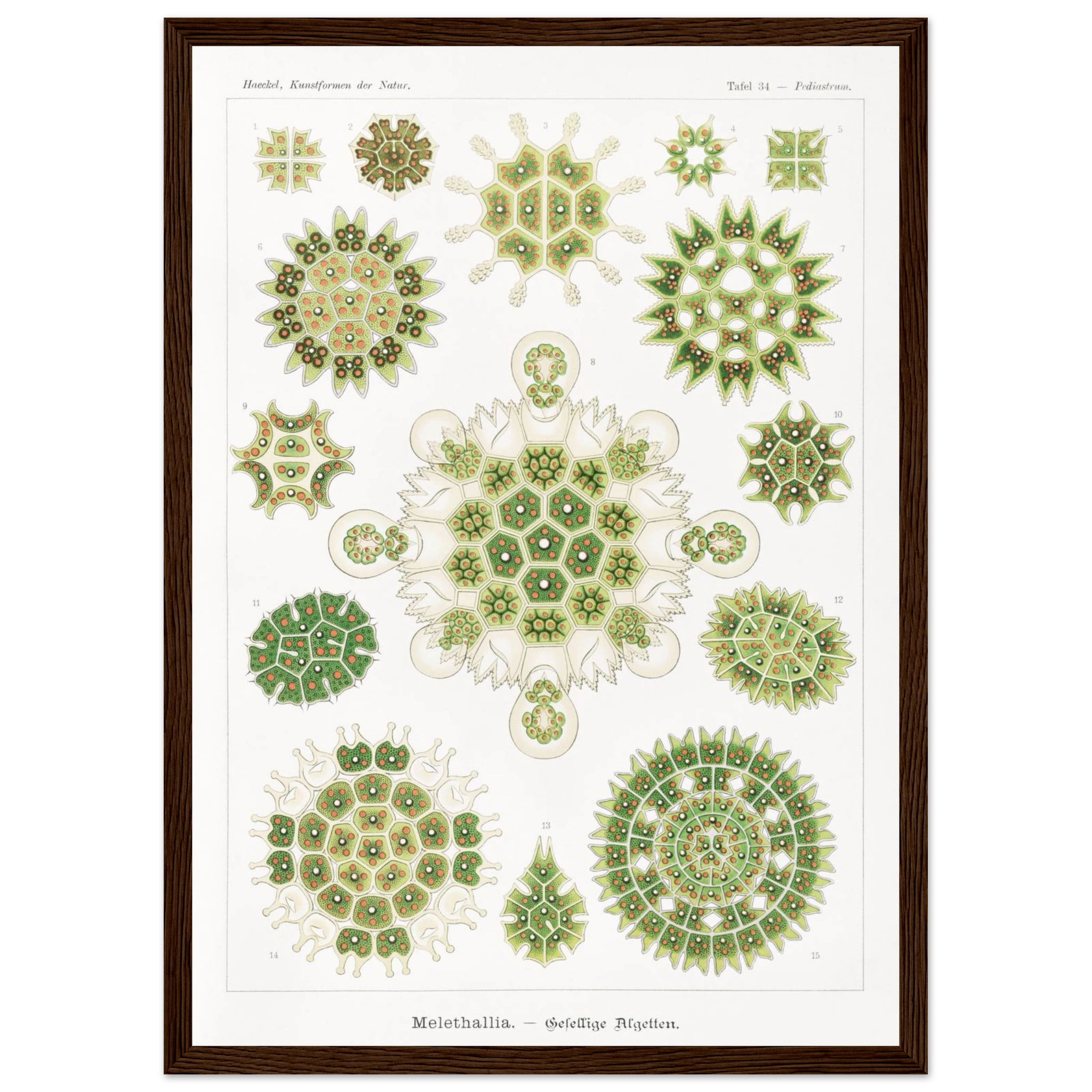 479f5537-14bf-4d1b-a45c-0cef6ce20bdd