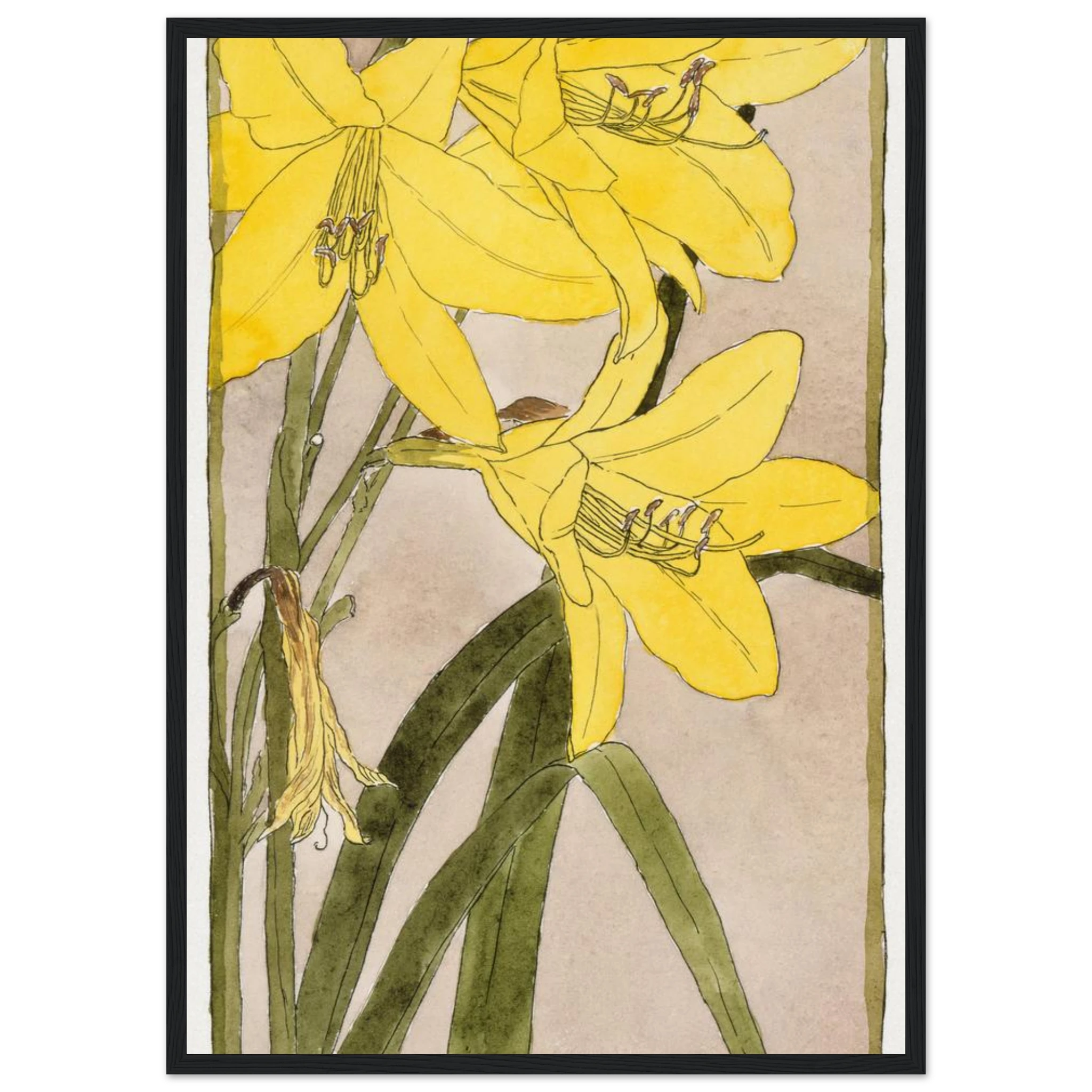 47c2aa79-687f-42a3-855c-bb589aeed039