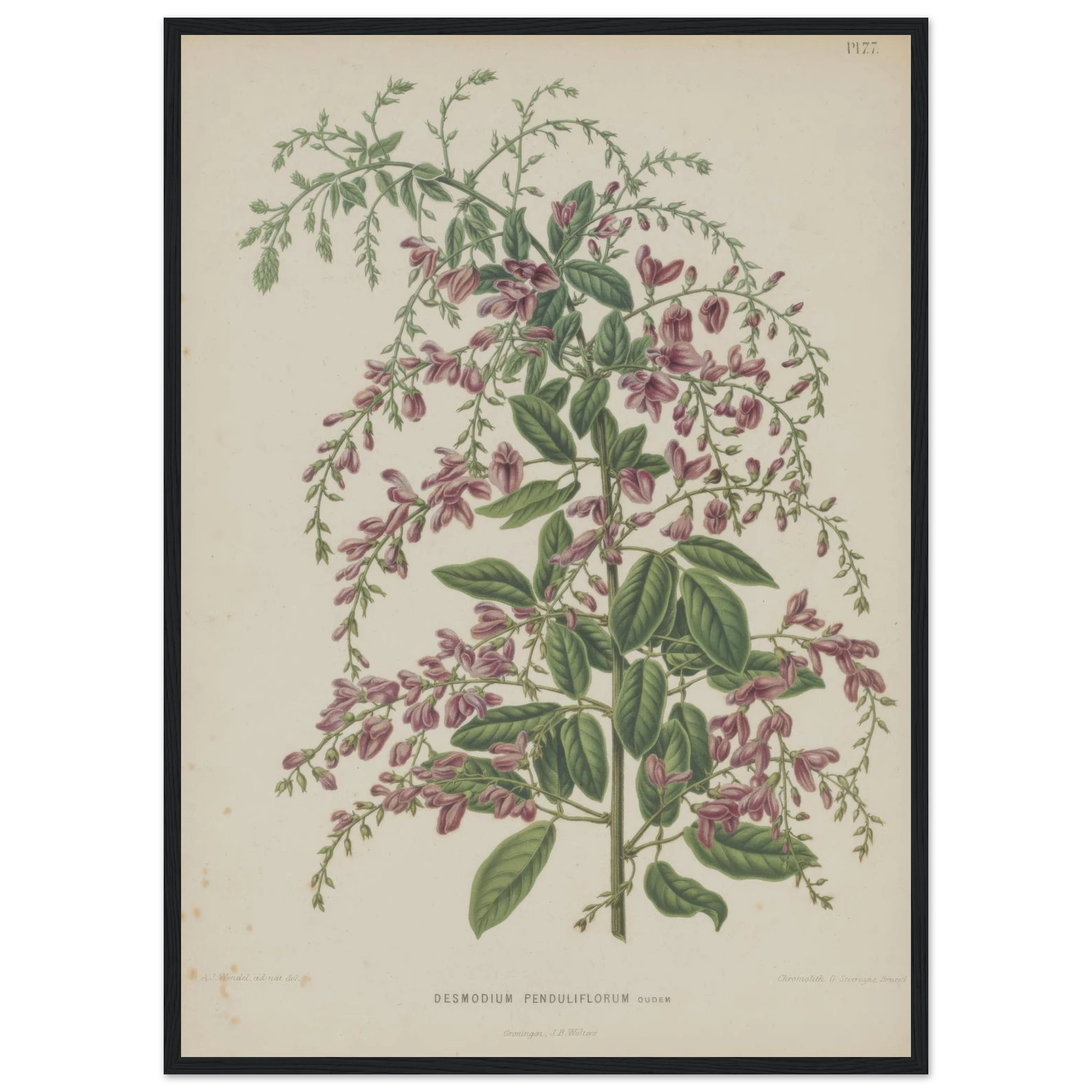 47d33ed8-51c1-499b-af0e-289412abb031