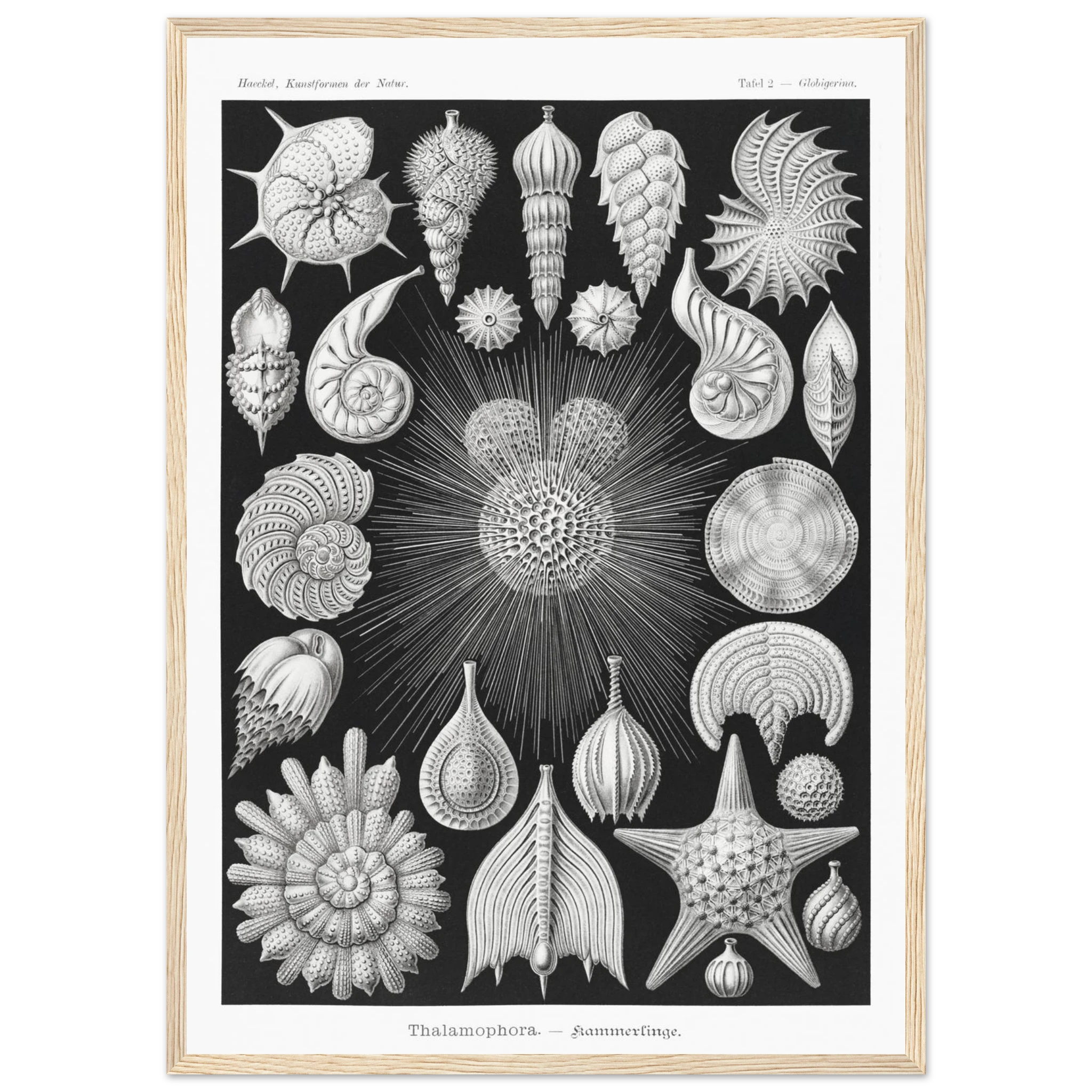 48059af5-3f88-41b9-be86-9b30e2a6eeb5