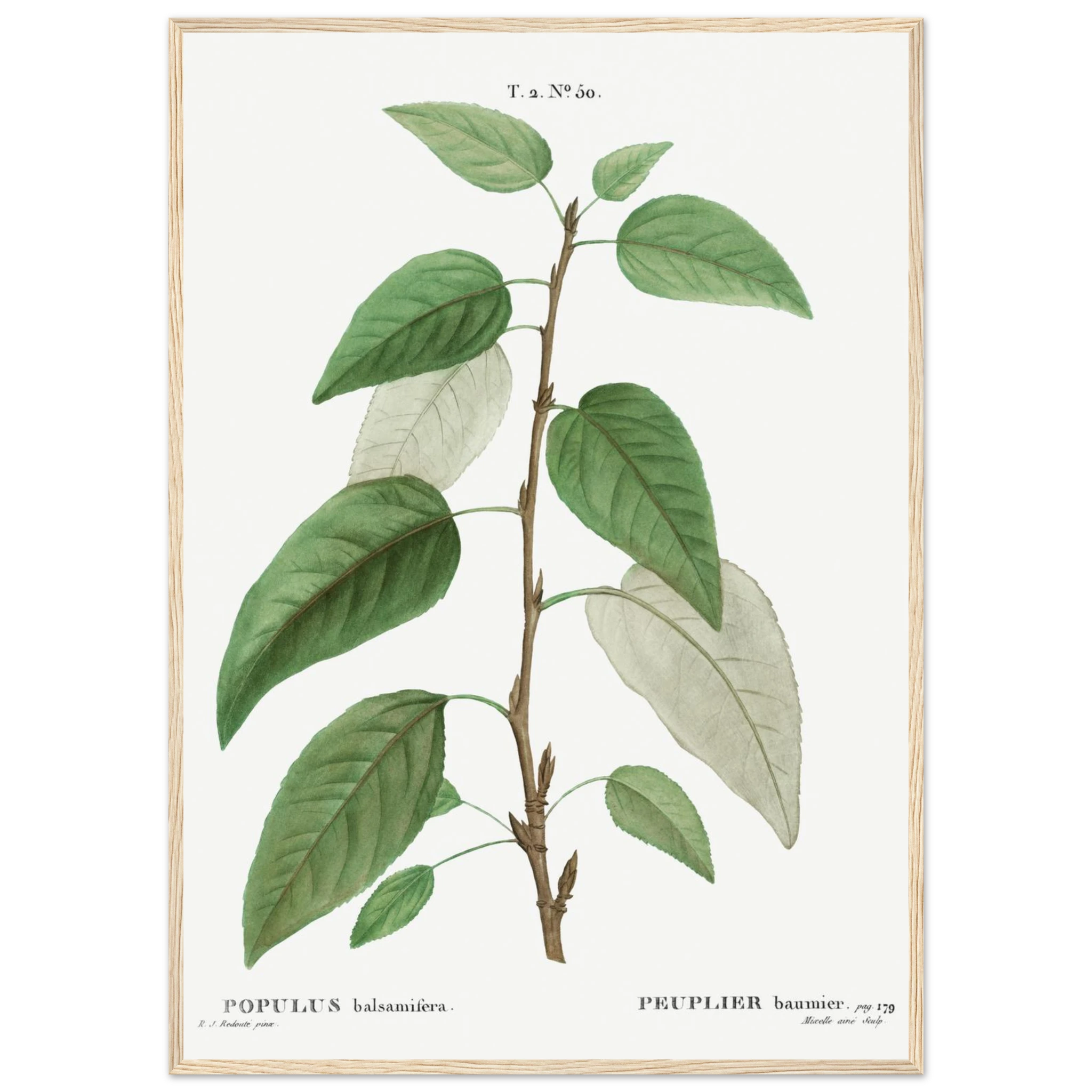 482c5368-16e2-4936-a6e5-c9a022c30e90