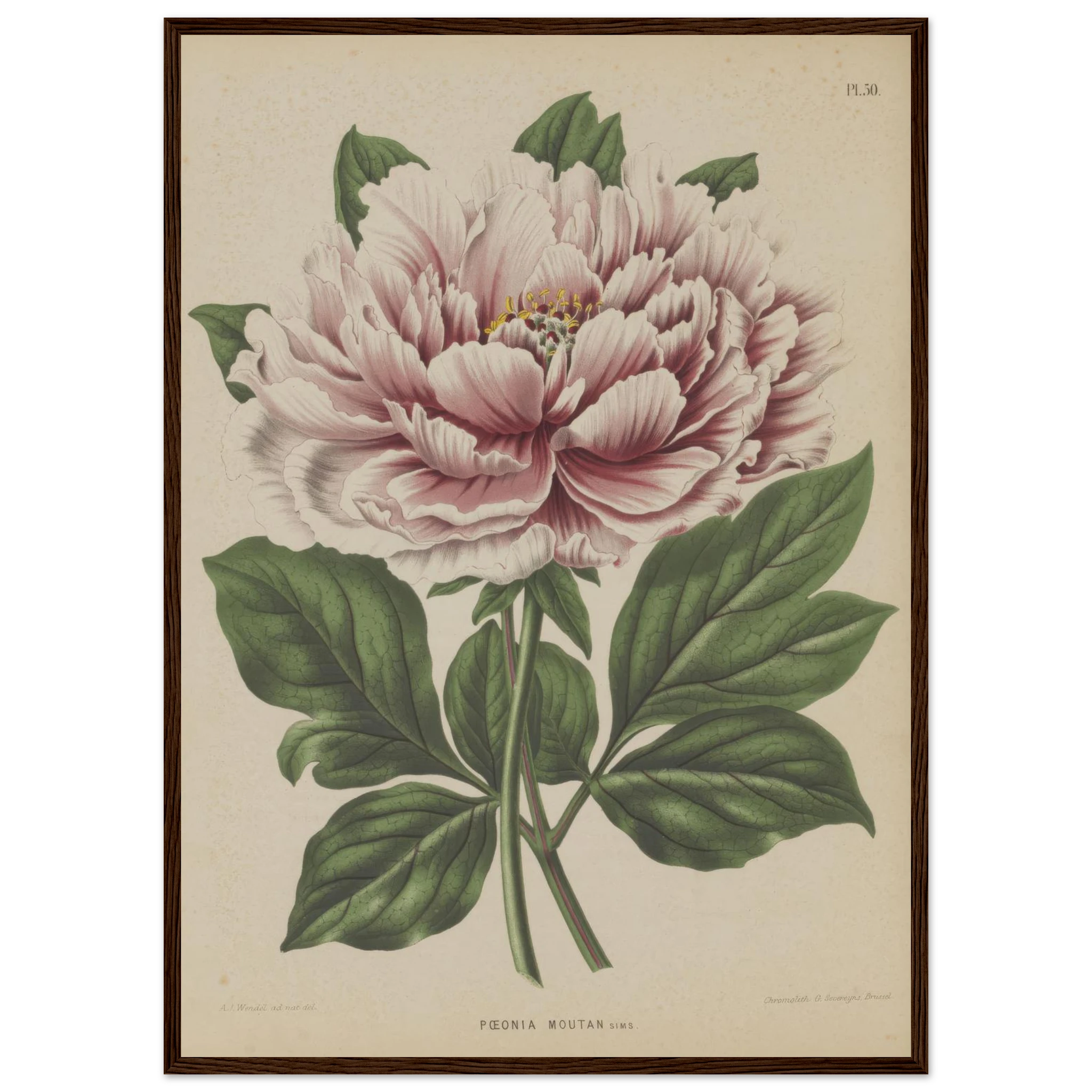 486d2f50-99c9-4753-93d7-f91f7beb8e53