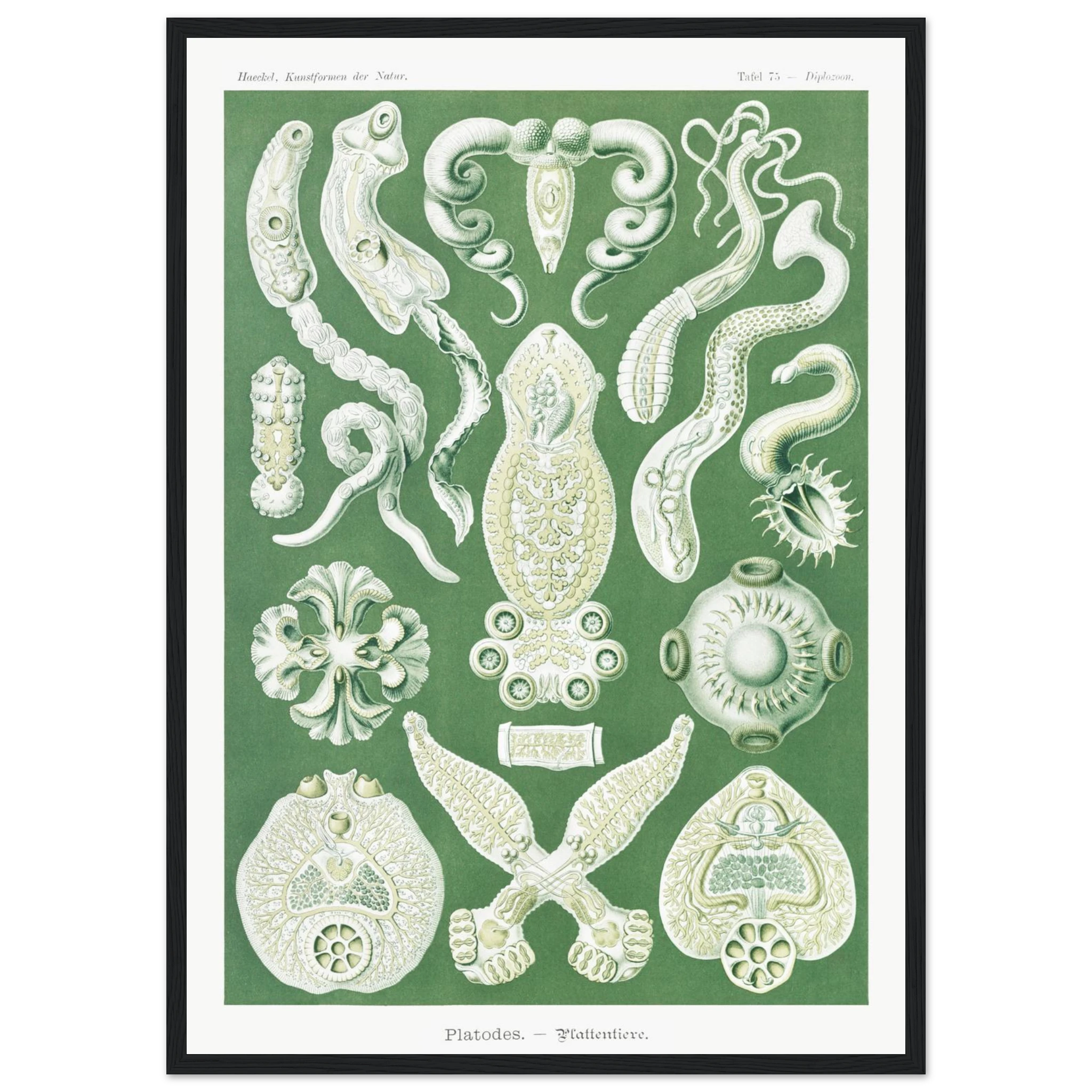 48755bbe-e16f-45f3-aa9d-06813b77bed0