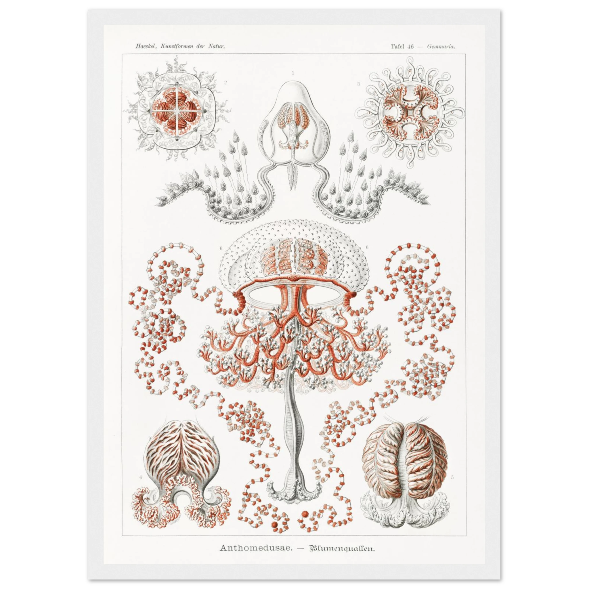 48c0e170-0c8c-4c97-9655-c2433b9b1539