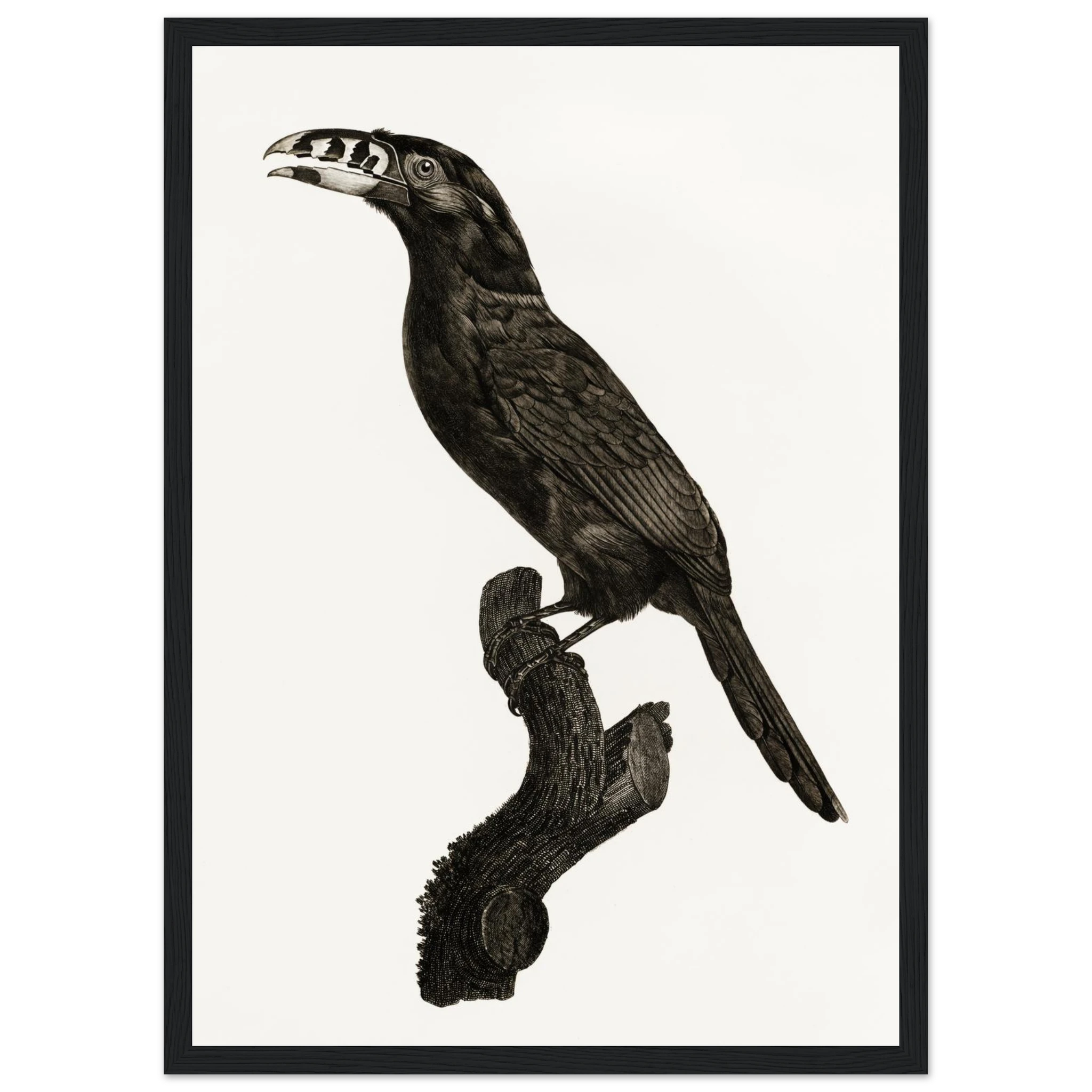 49004728-1c78-4b68-b3a1-38ddfd5193c3