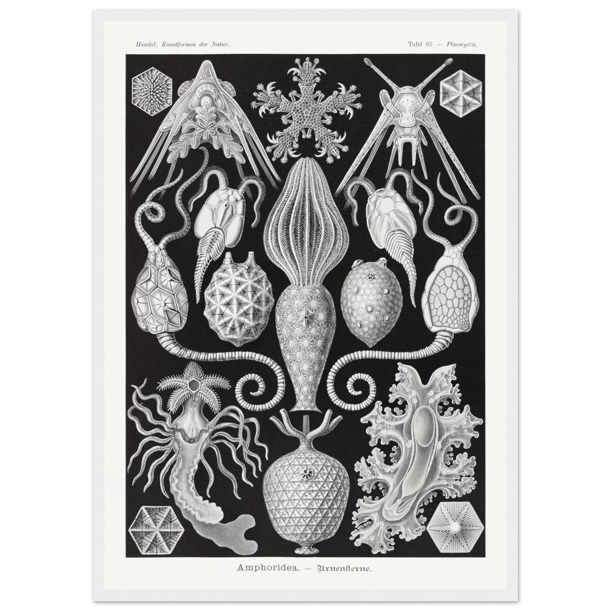 49074821-06c7-4b7d-82d0-37d42ee88ead