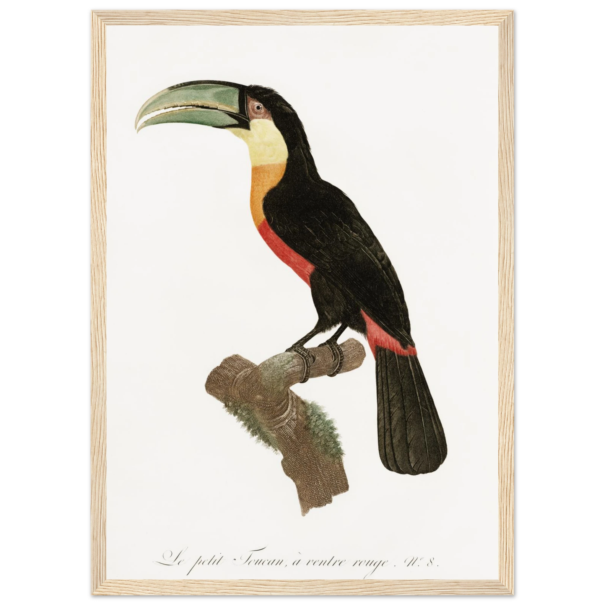 4919d974-963a-4b23-a0fa-2d65294b0008