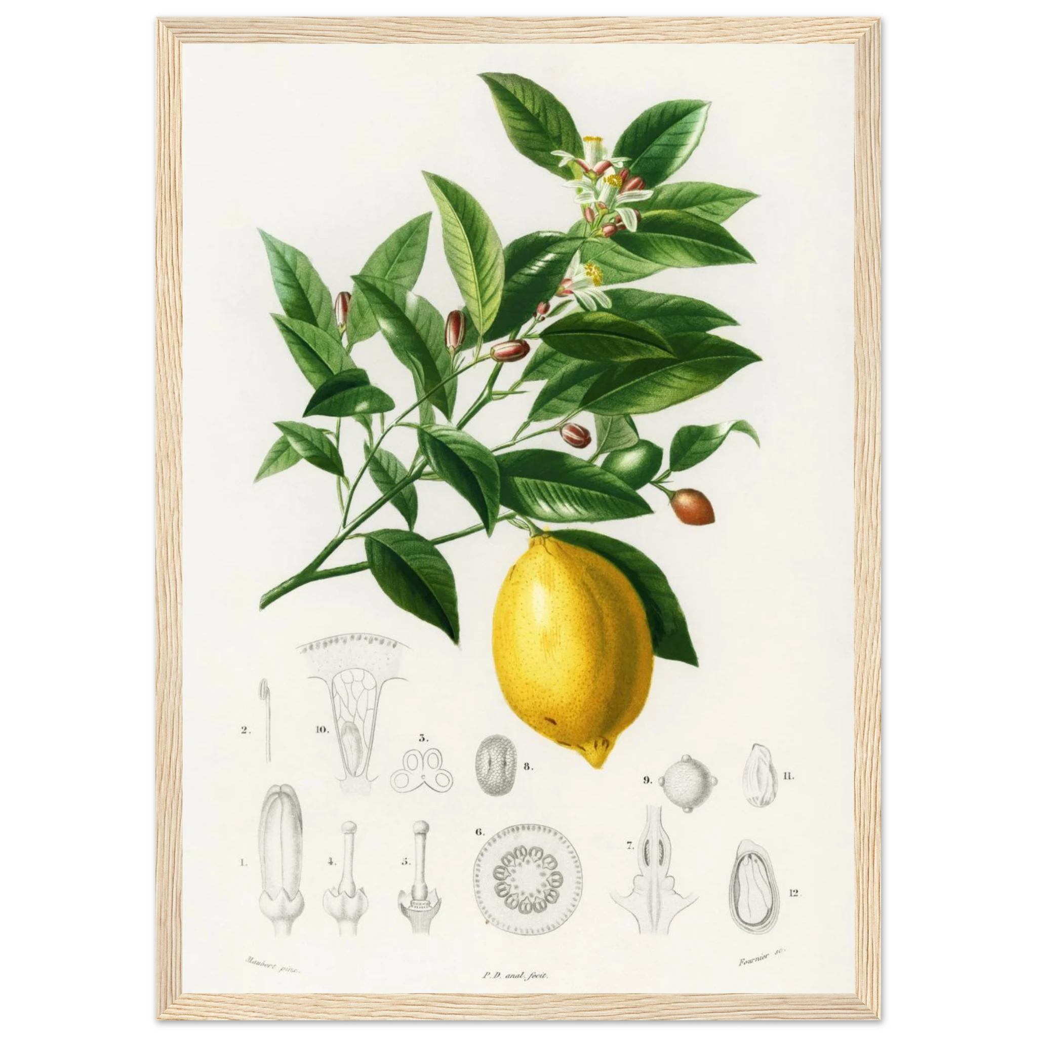 496222a6-afc1-4d53-acc8-2ffee60ea718