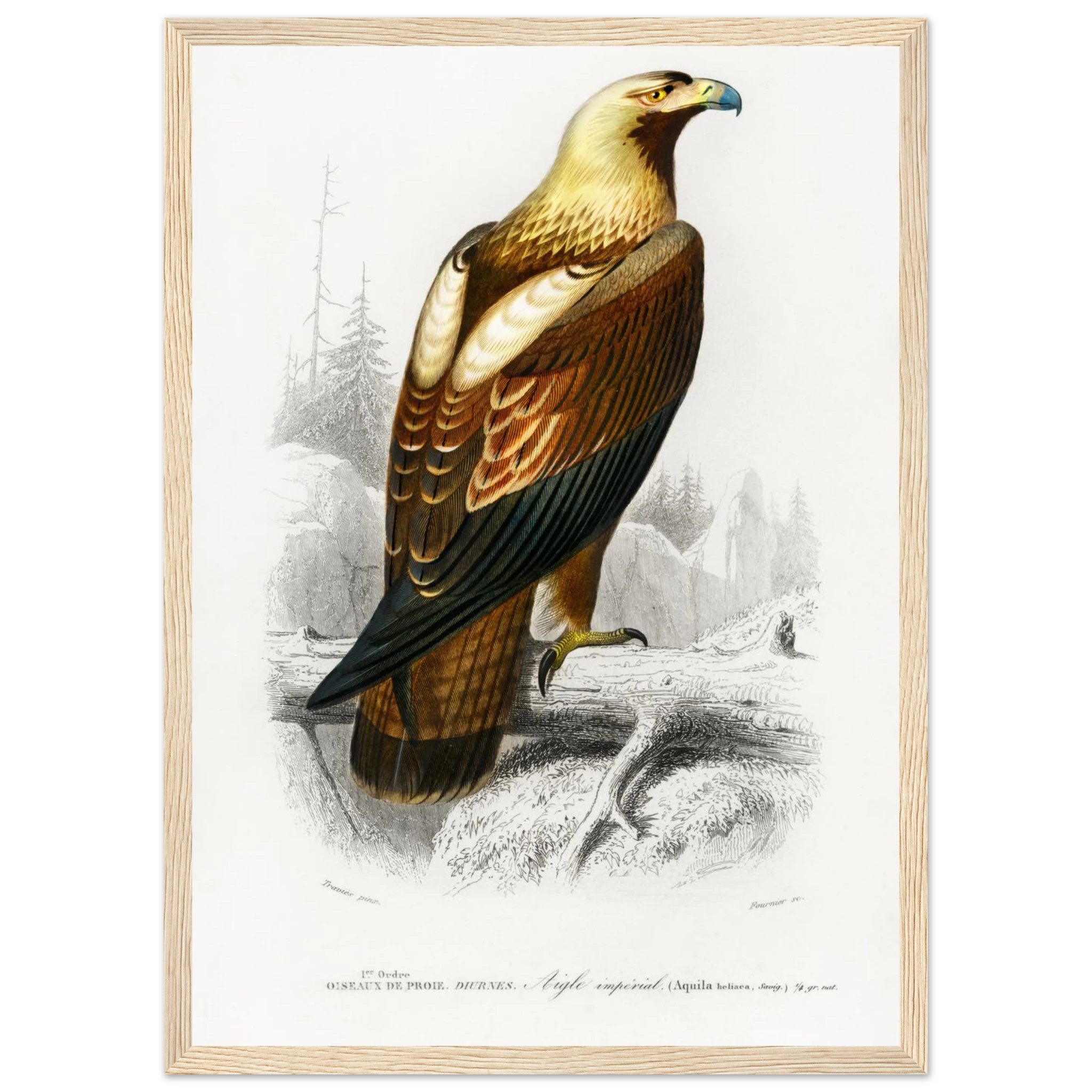 4966f7ba-7ede-4fd2-bad4-6500ccd29ddc