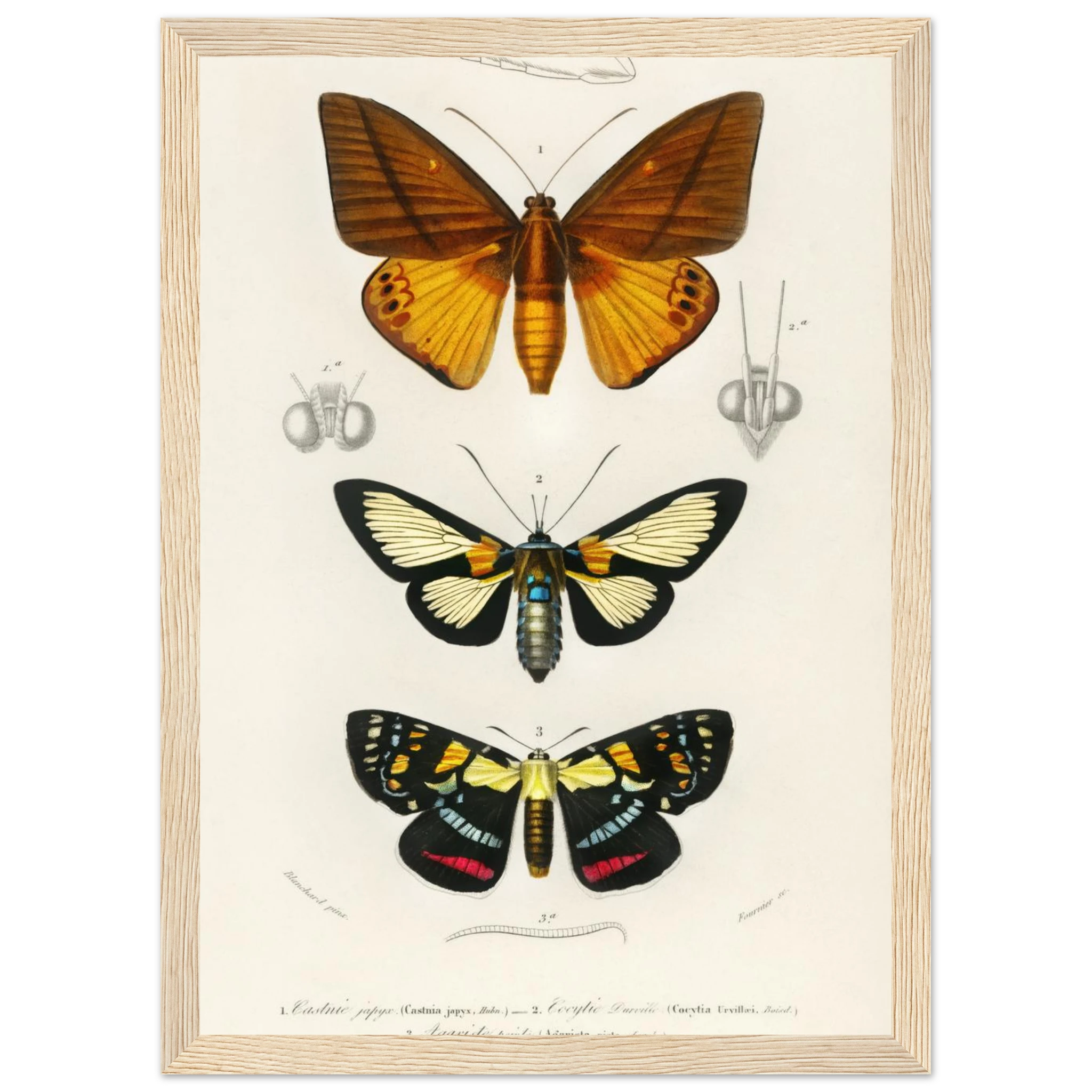 49fea376-edc2-4a30-abbc-54a8c45dea95