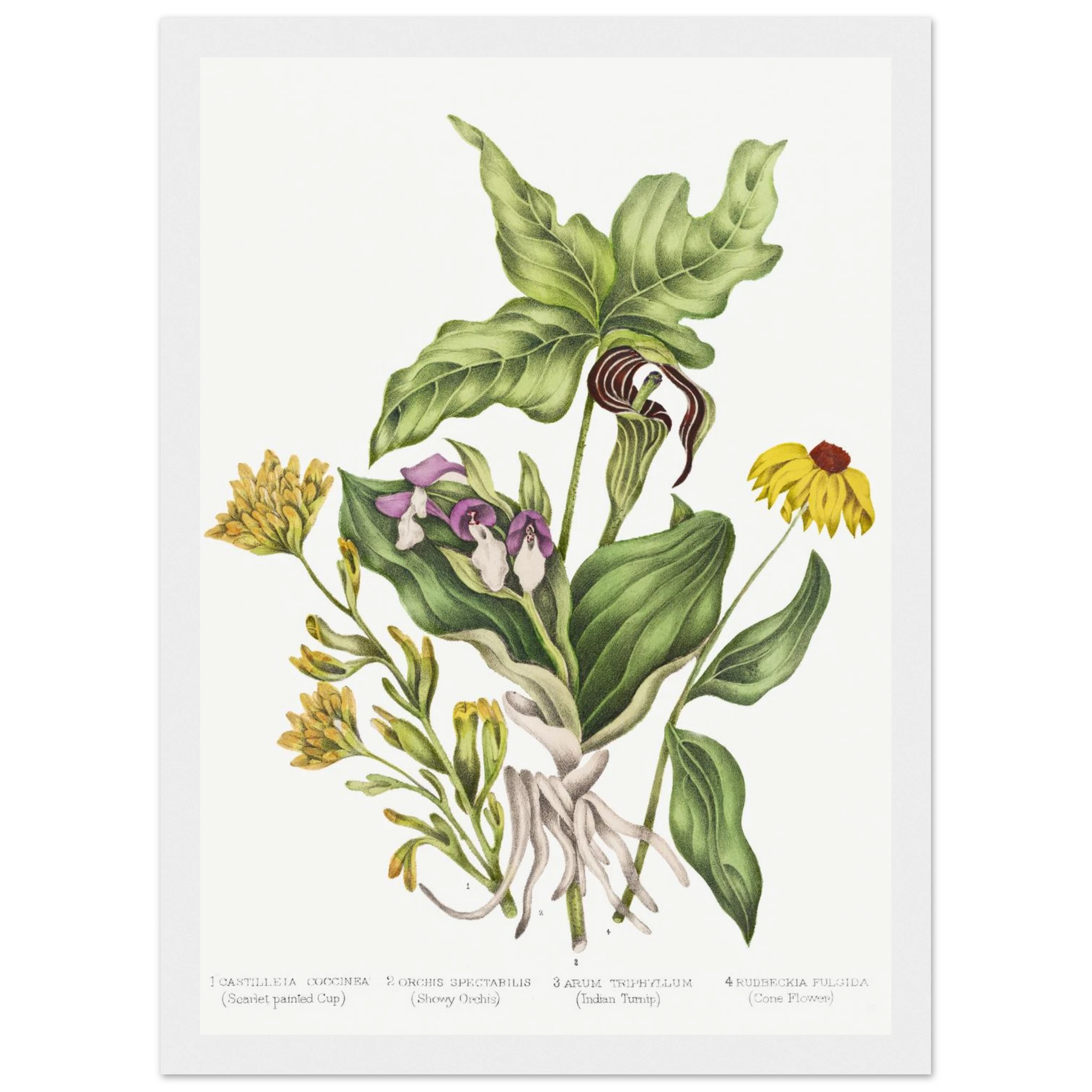 4b333240-42aa-4278-ad35-6cc68b241d1c