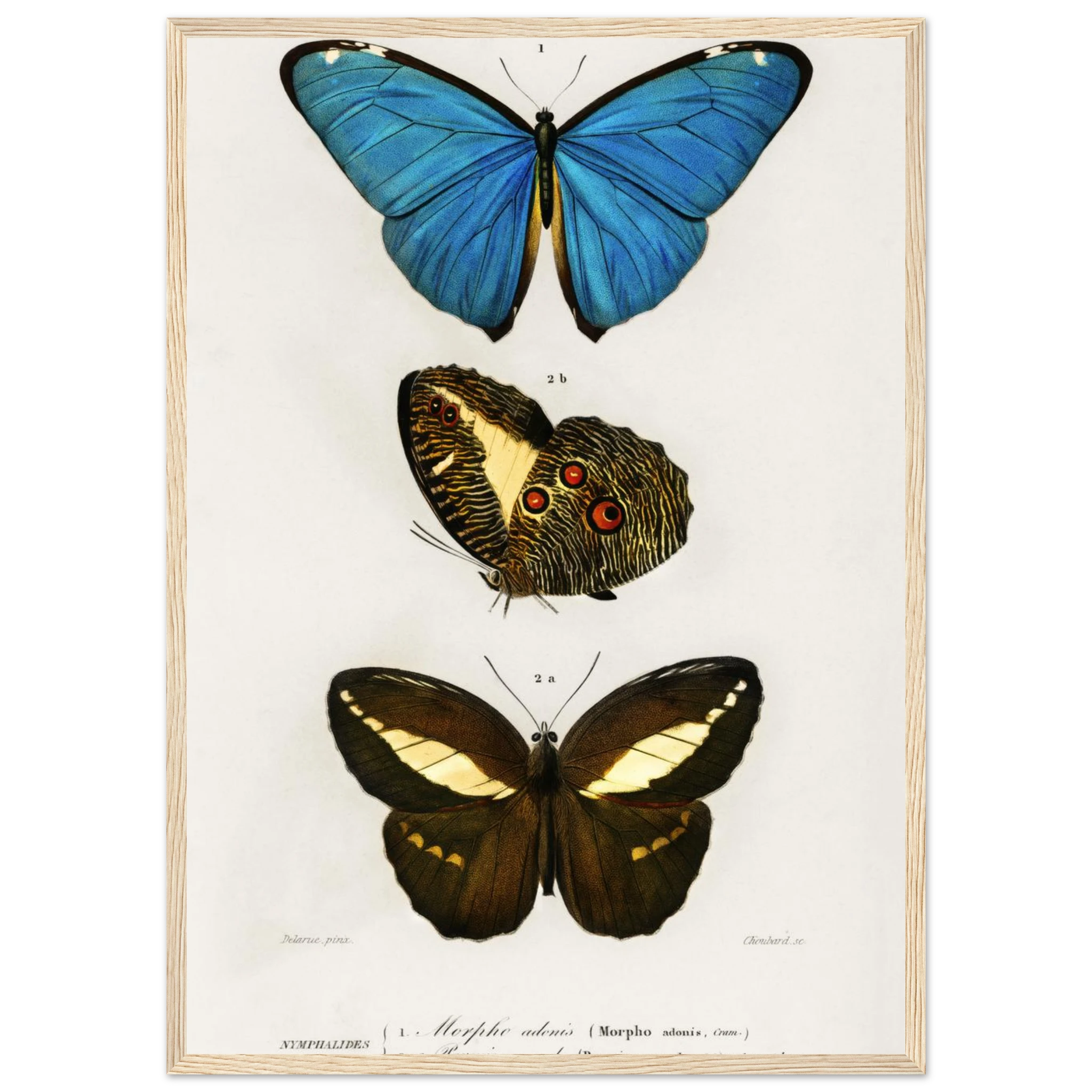 4b37e14e-86be-4df8-88c3-37bc6a4715ed