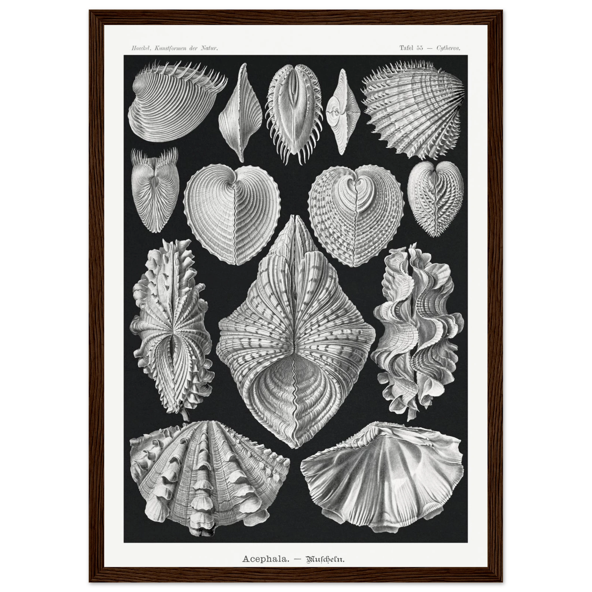 4b48a1be-f742-4c47-a1c9-3c4359d52bbf