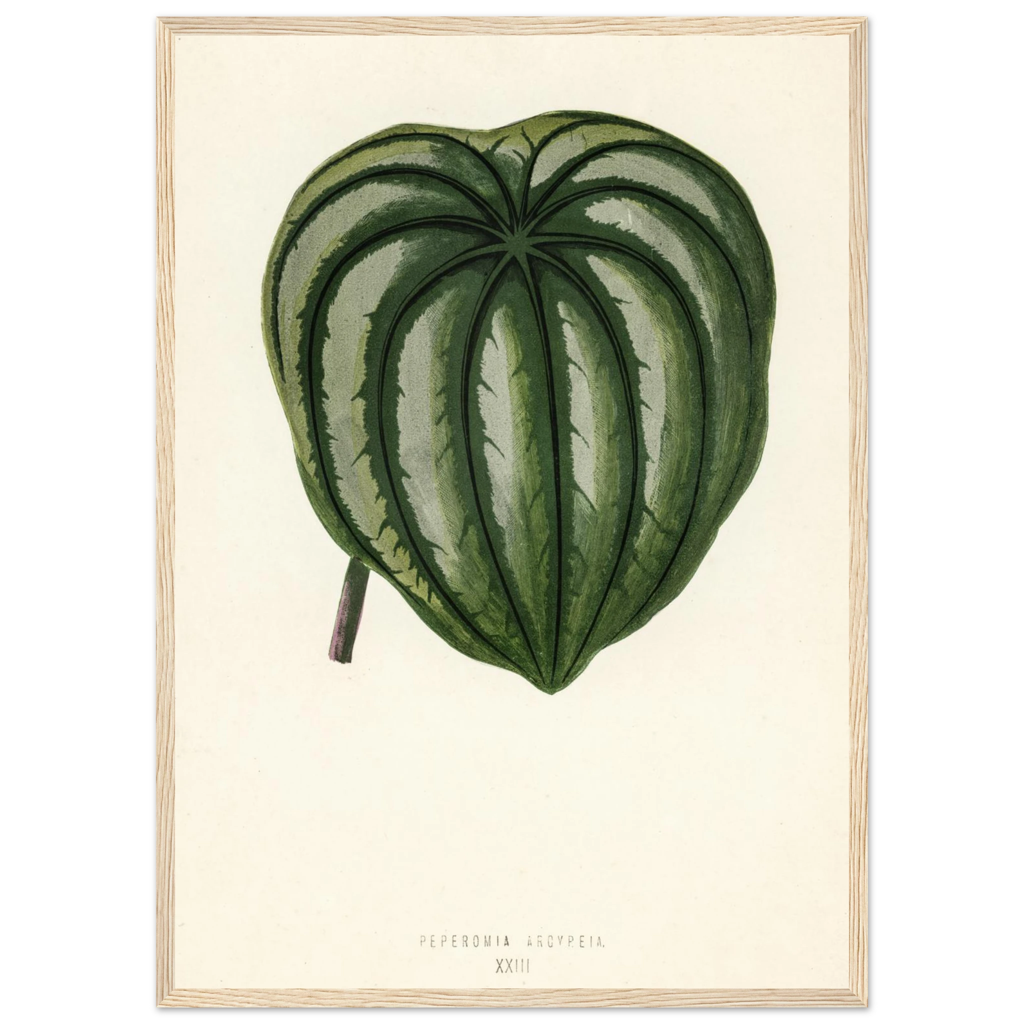 4b6b0aa6-903c-45d7-a007-1e729a4f3486