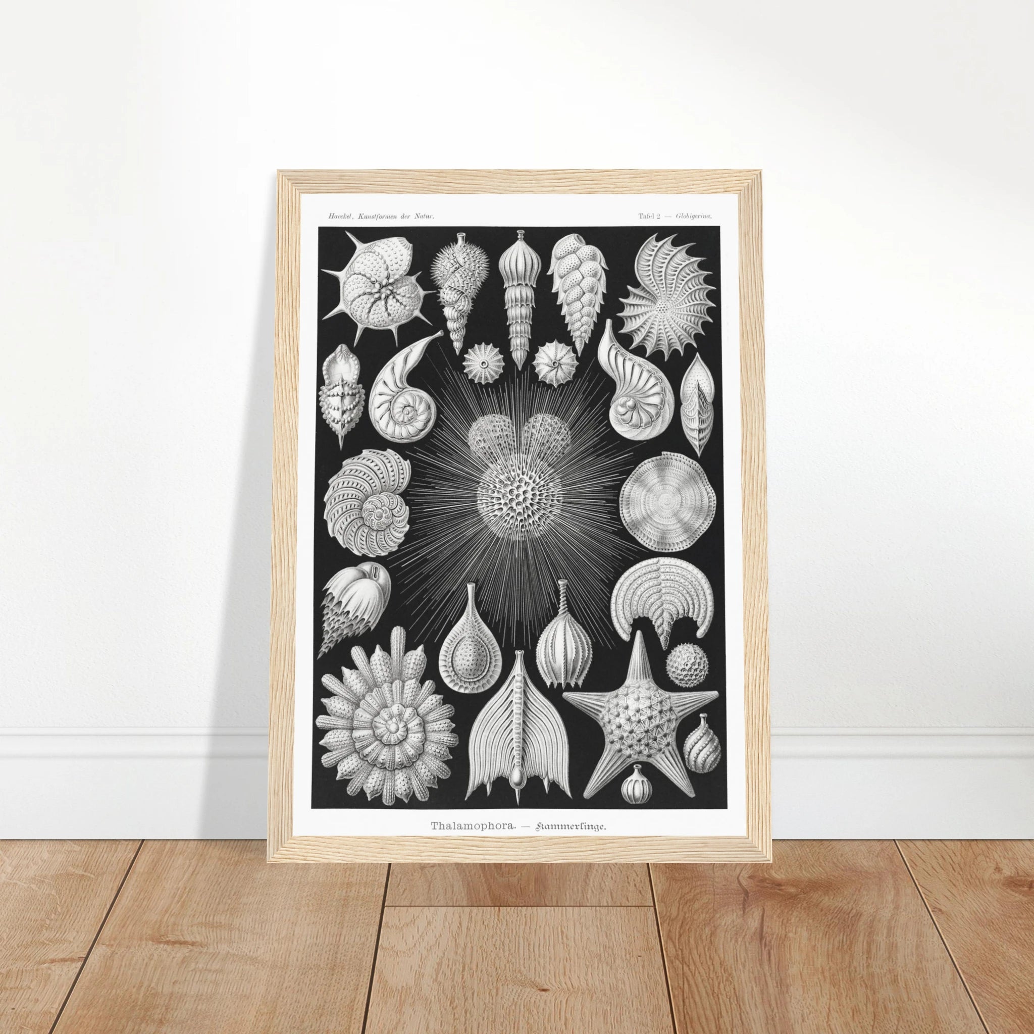 4bb2bf44-f6f9-4160-b501-480585853554