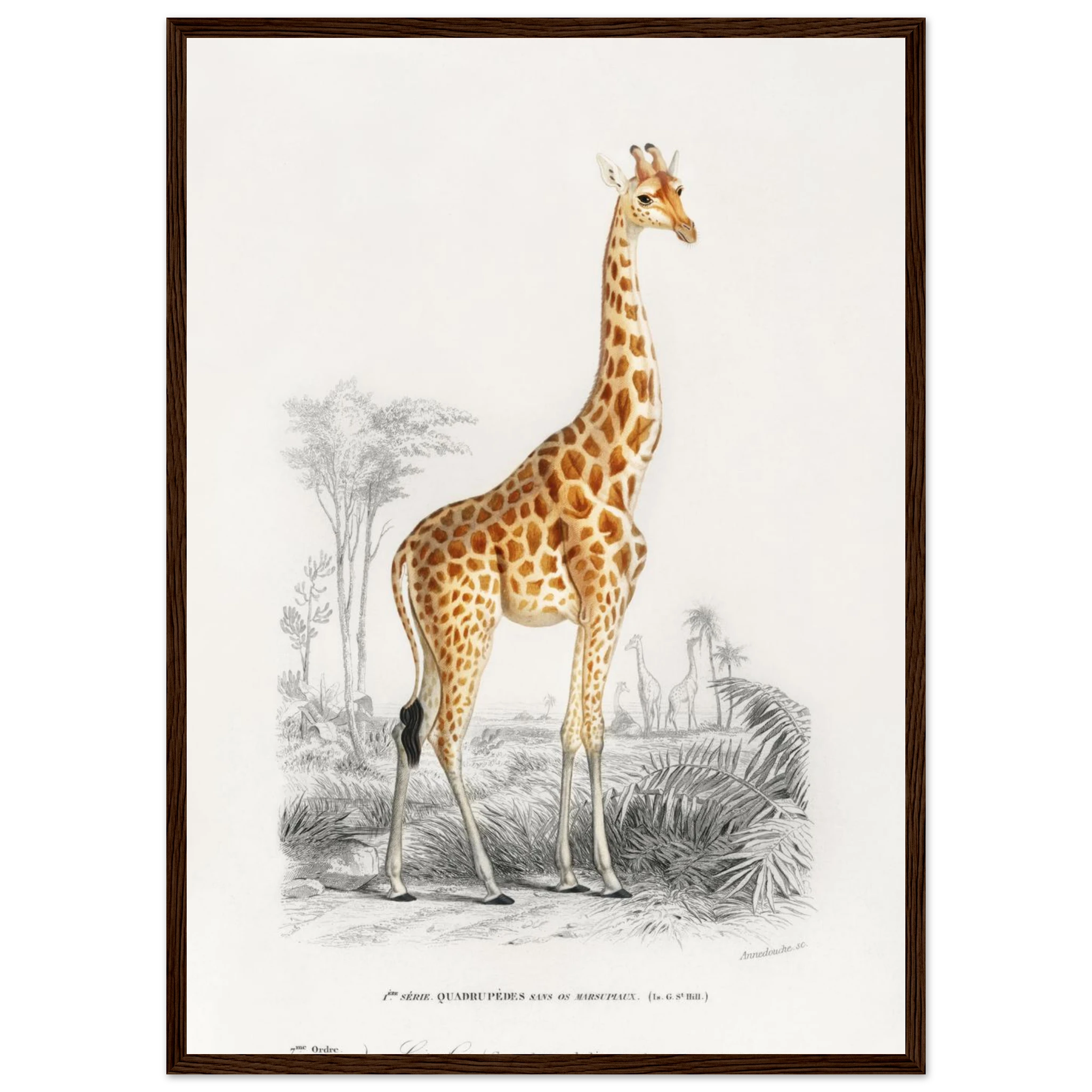 4bb699d3-9046-4349-a3a8-7673596b66aa