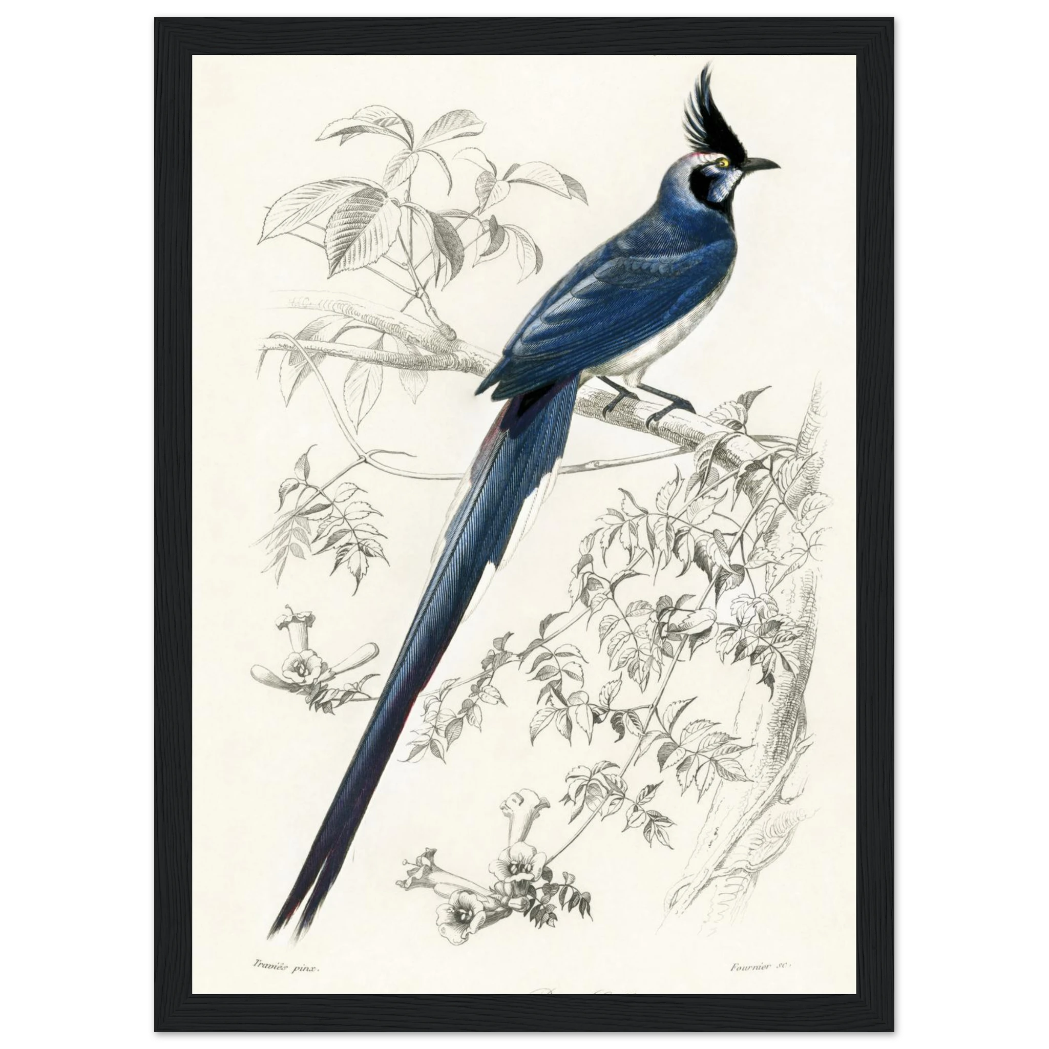 4bc8d056-9beb-40d5-a9bc-376240199d23