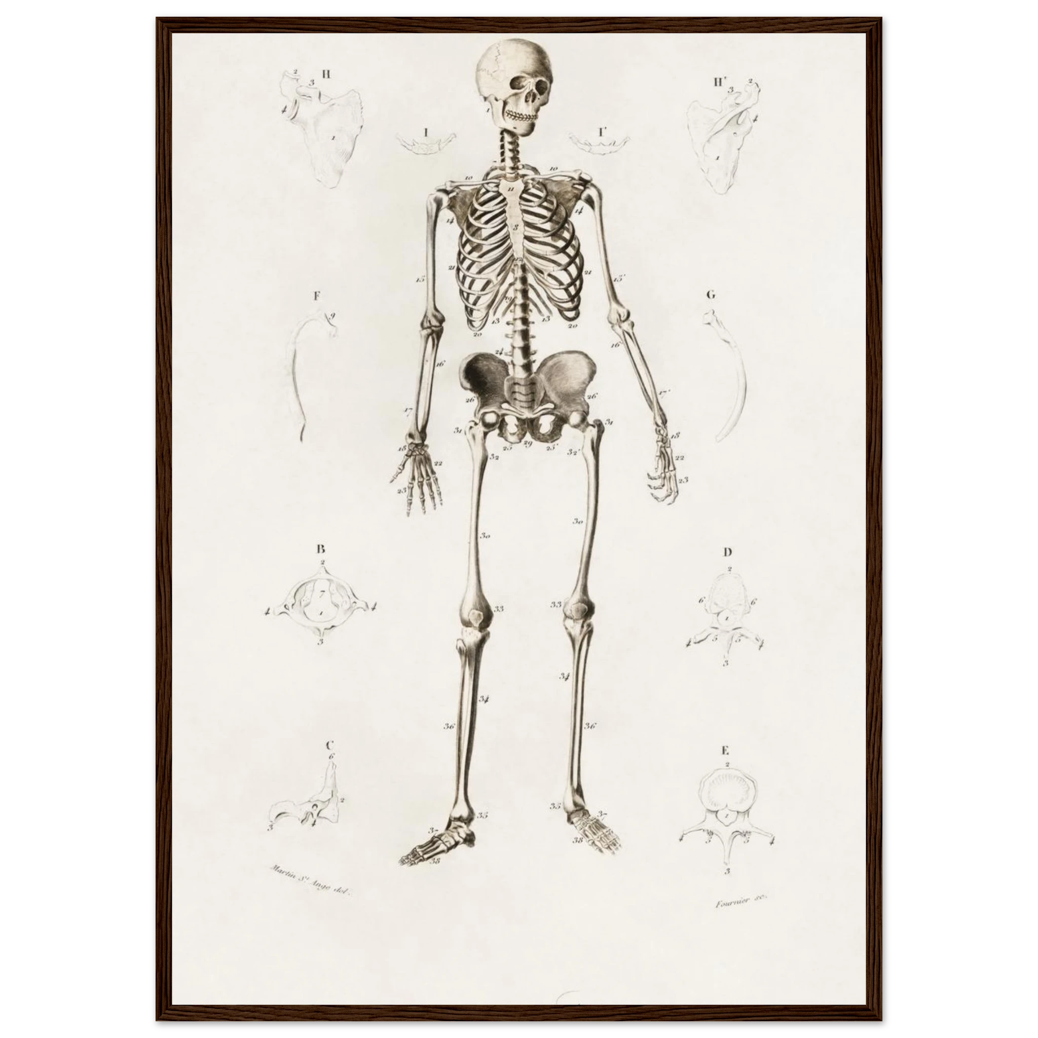 4c8db12d-75fa-4df2-acf8-82b9ef2c24b9