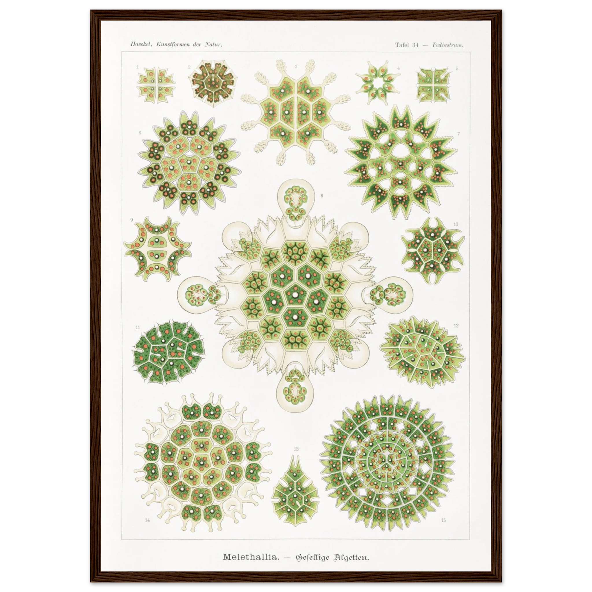 4caa0b6c-6de3-4dec-94dc-0d3ecbf92656