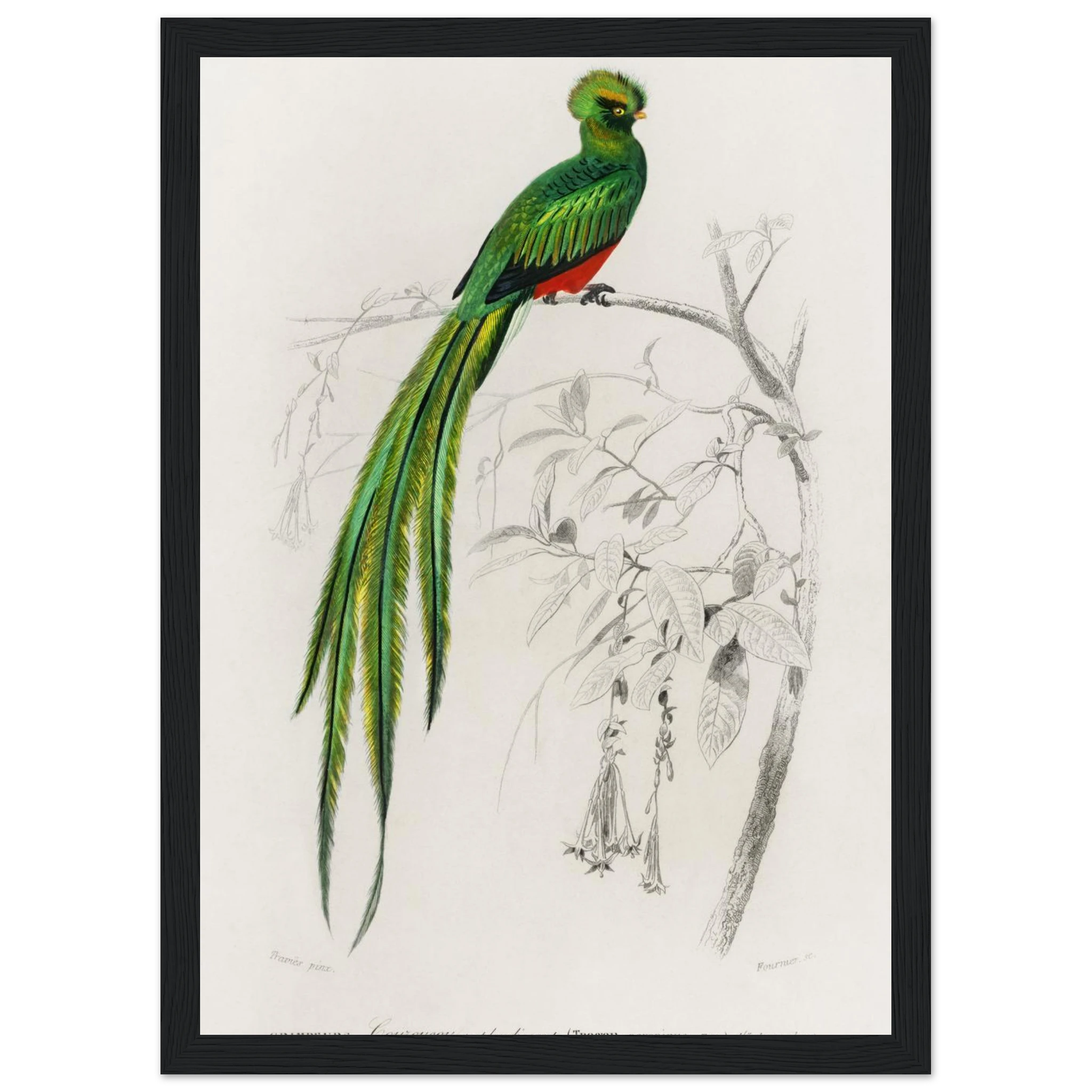 4dc2b5cf-0d1b-4a67-8dae-9003f43634a0