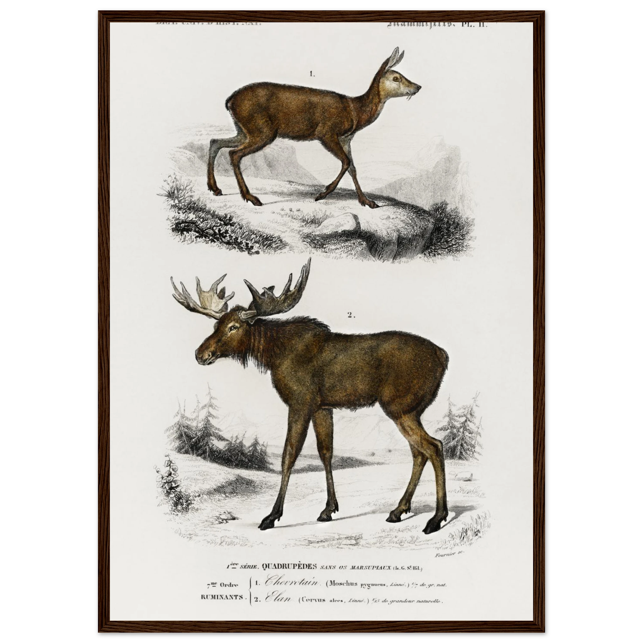 4dc49b11-bfeb-4b12-bbf9-9cf76fbb9027