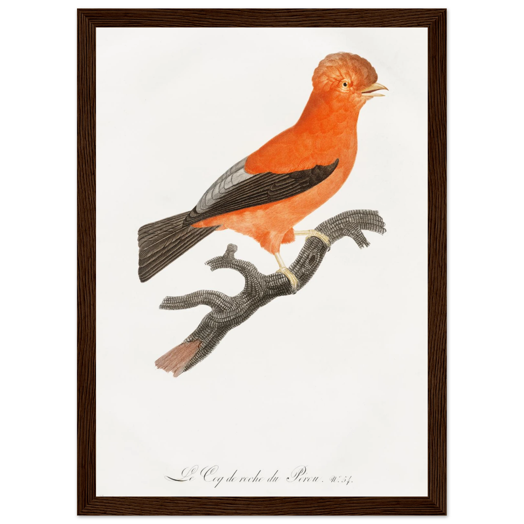 4ddcc9f4-27c8-4a41-bea6-9c5327fb6f0d