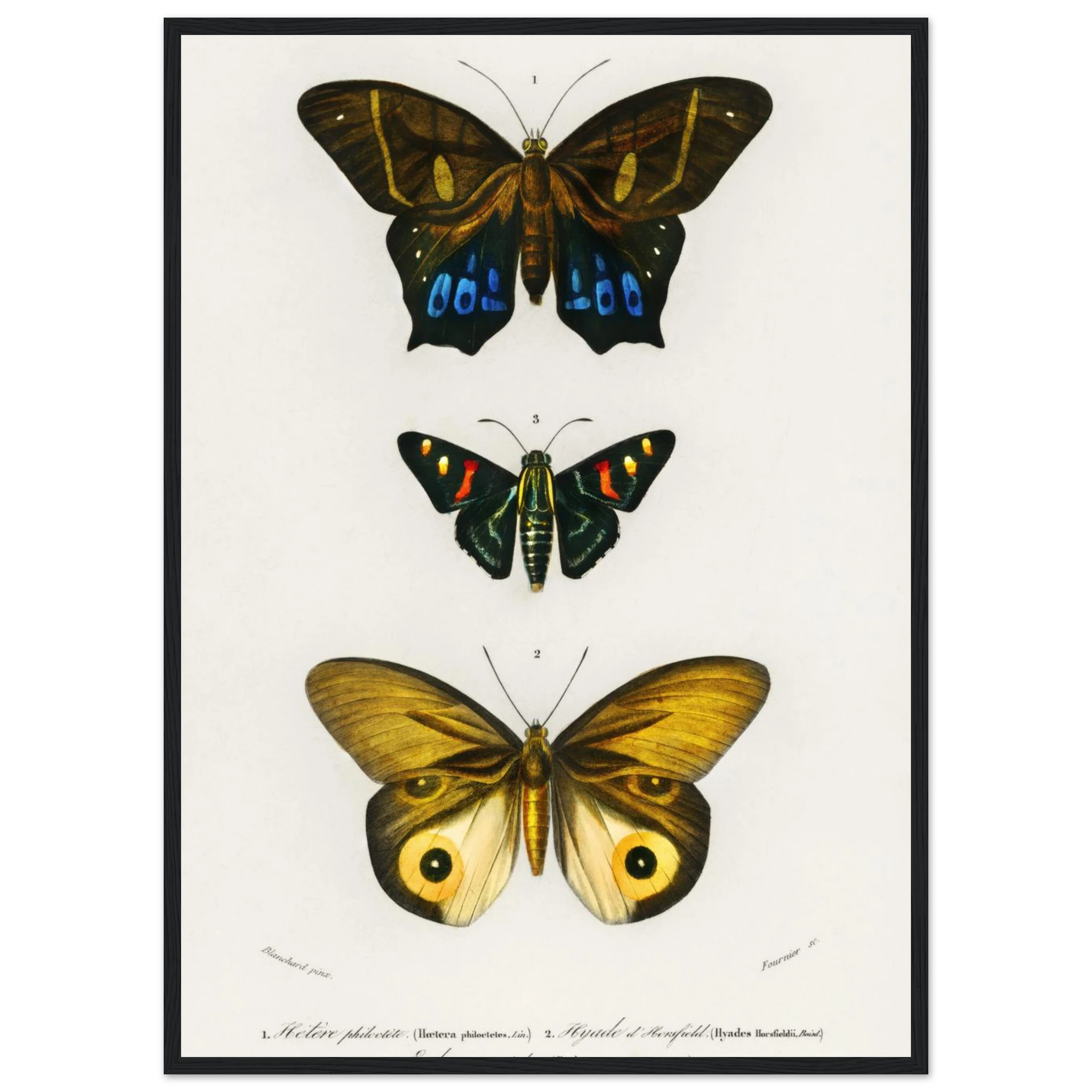 4ddef705-dad2-41a5-a61c-bf8f8b4fe008