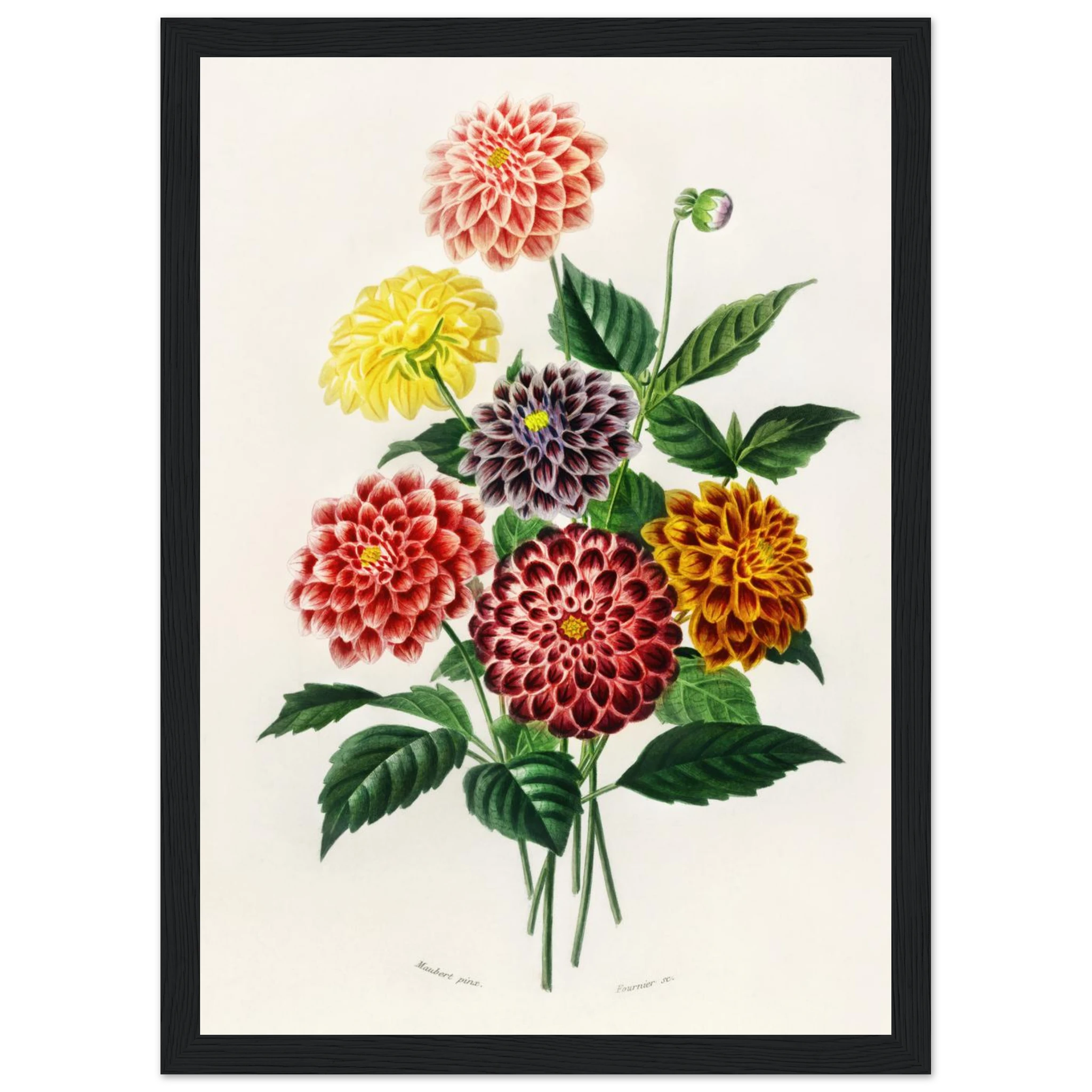 4df6b0d5-a2f7-481d-9e11-6a3f148396b4