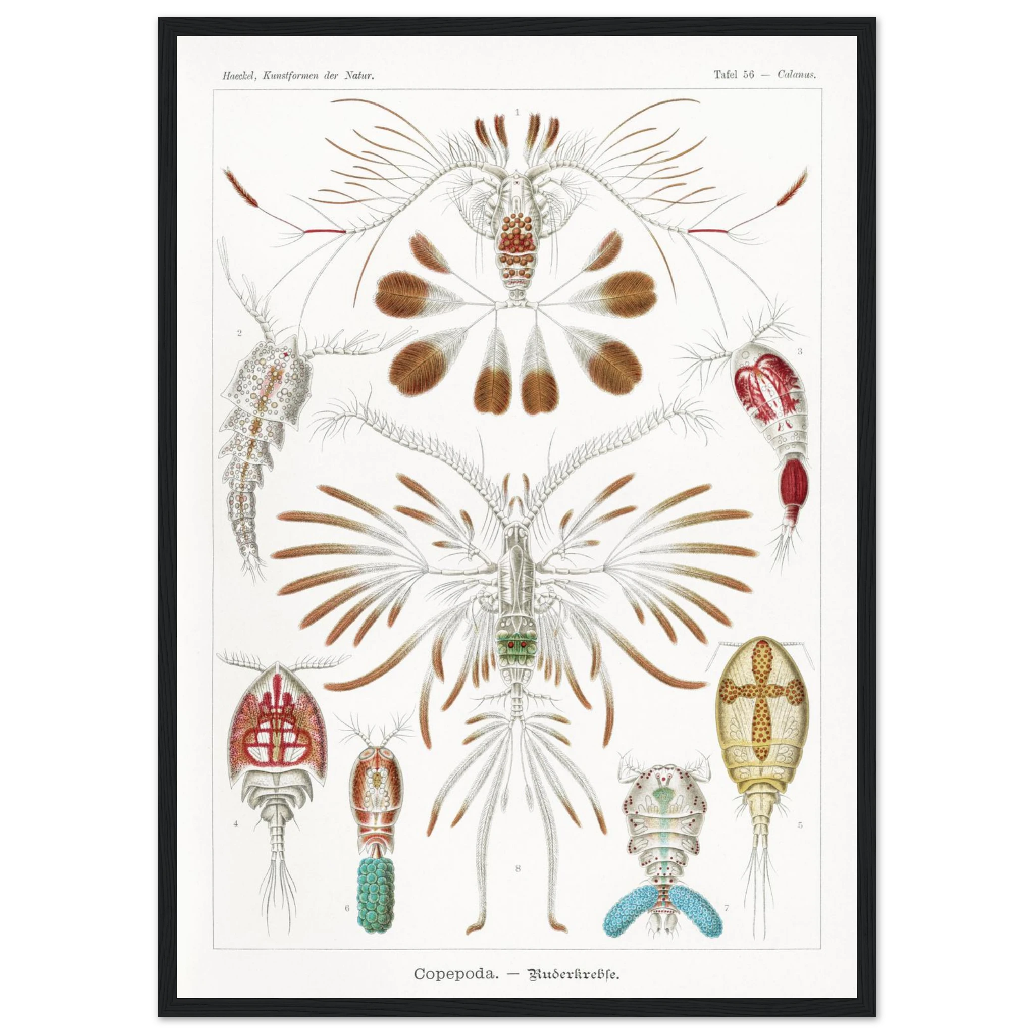 4e4078a4-c6af-4831-affc-ca7eb60ef169