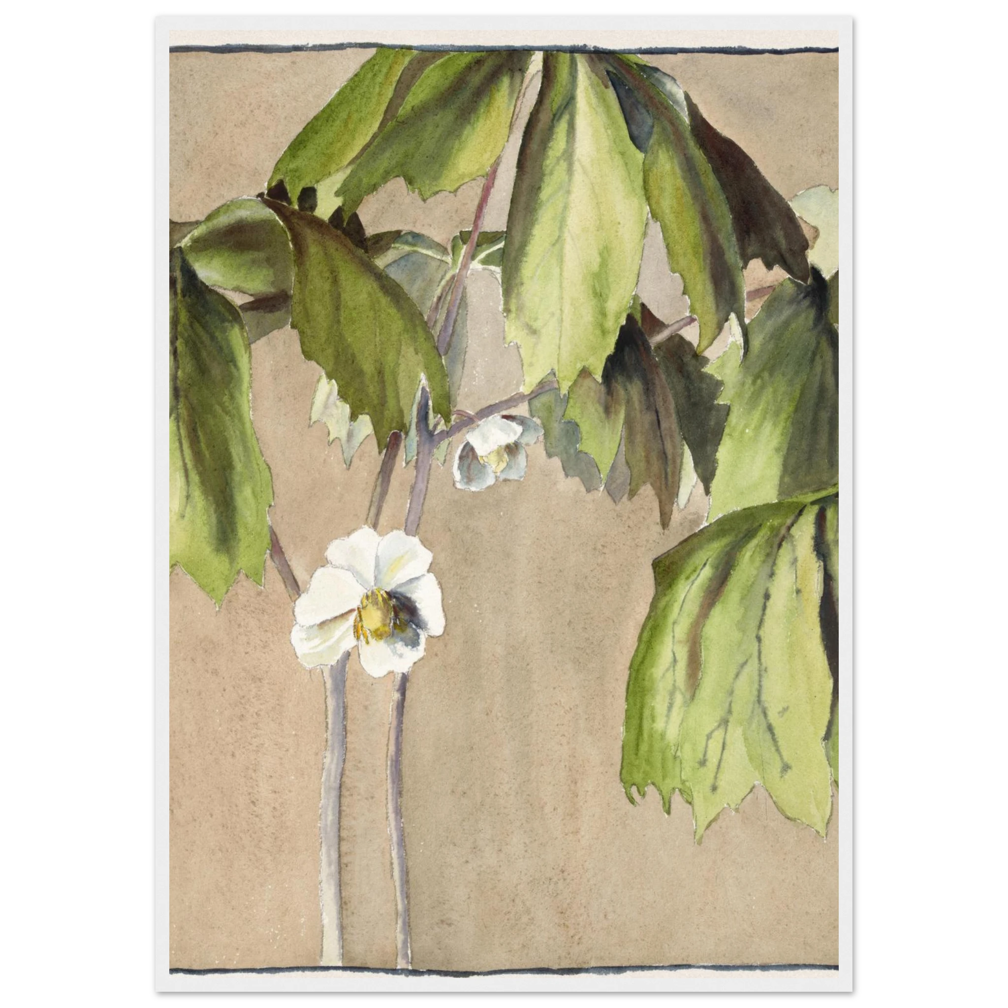 4e419fe1-cbce-460b-933d-14bb50813624