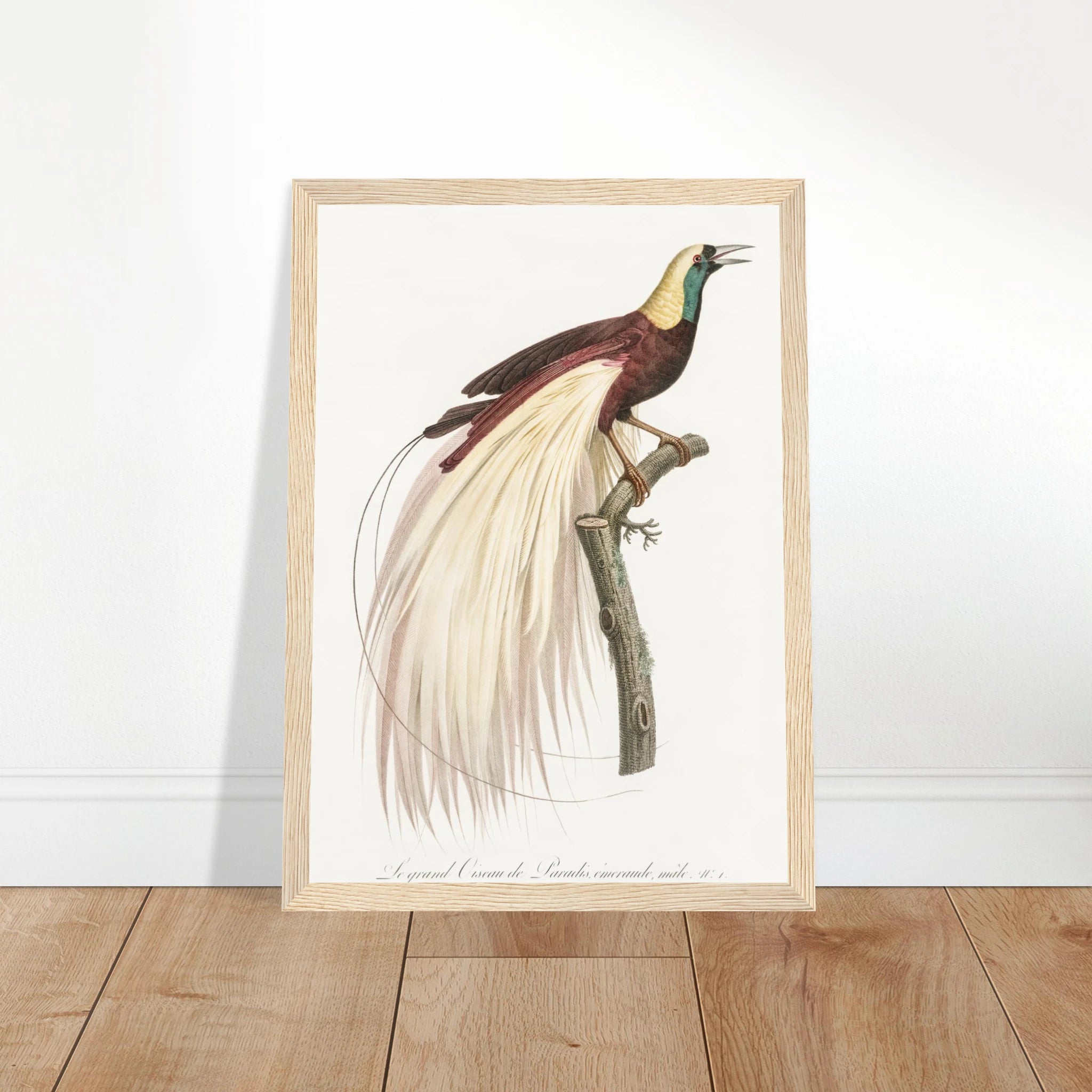 4e60310e-20ef-4dbf-b8bc-03203a1d9491