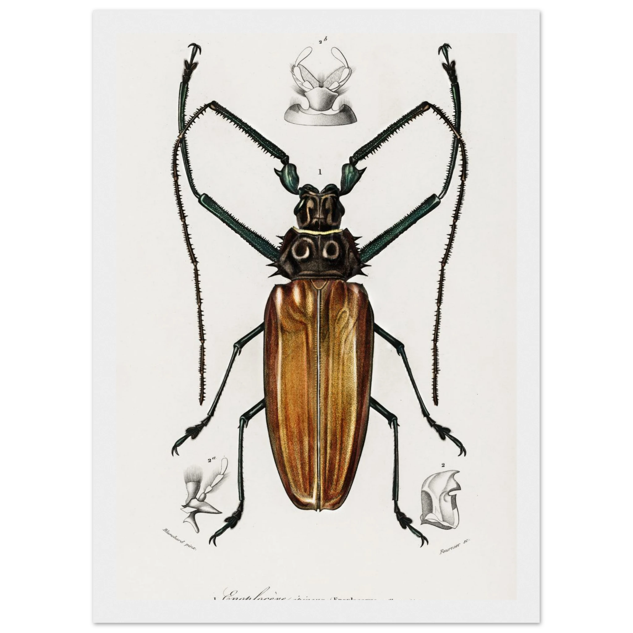 4e7a9464-40fa-408f-be95-c74eafde56a9