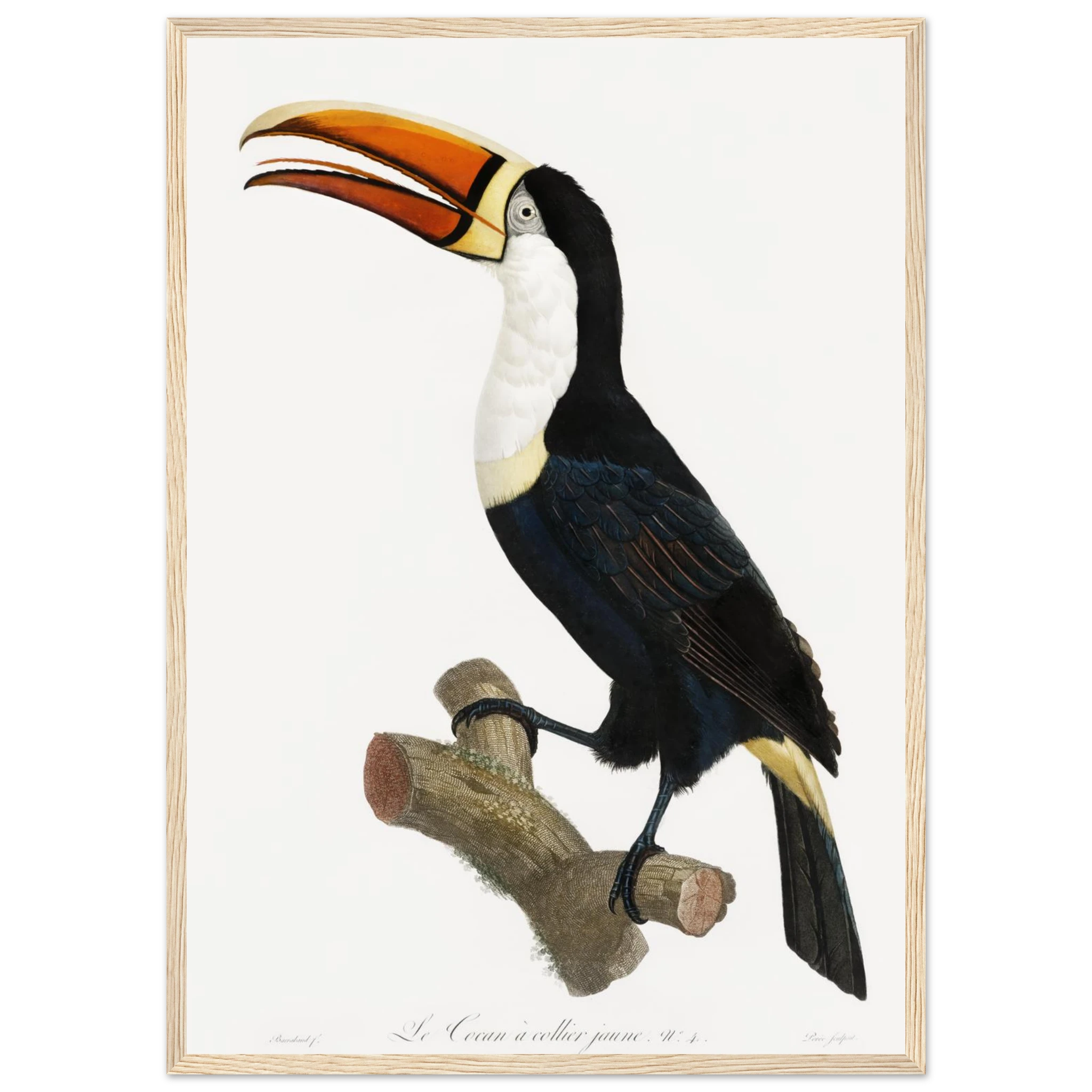 4e7fdc54-a79c-4cc3-80bb-7c662a8cd1b5