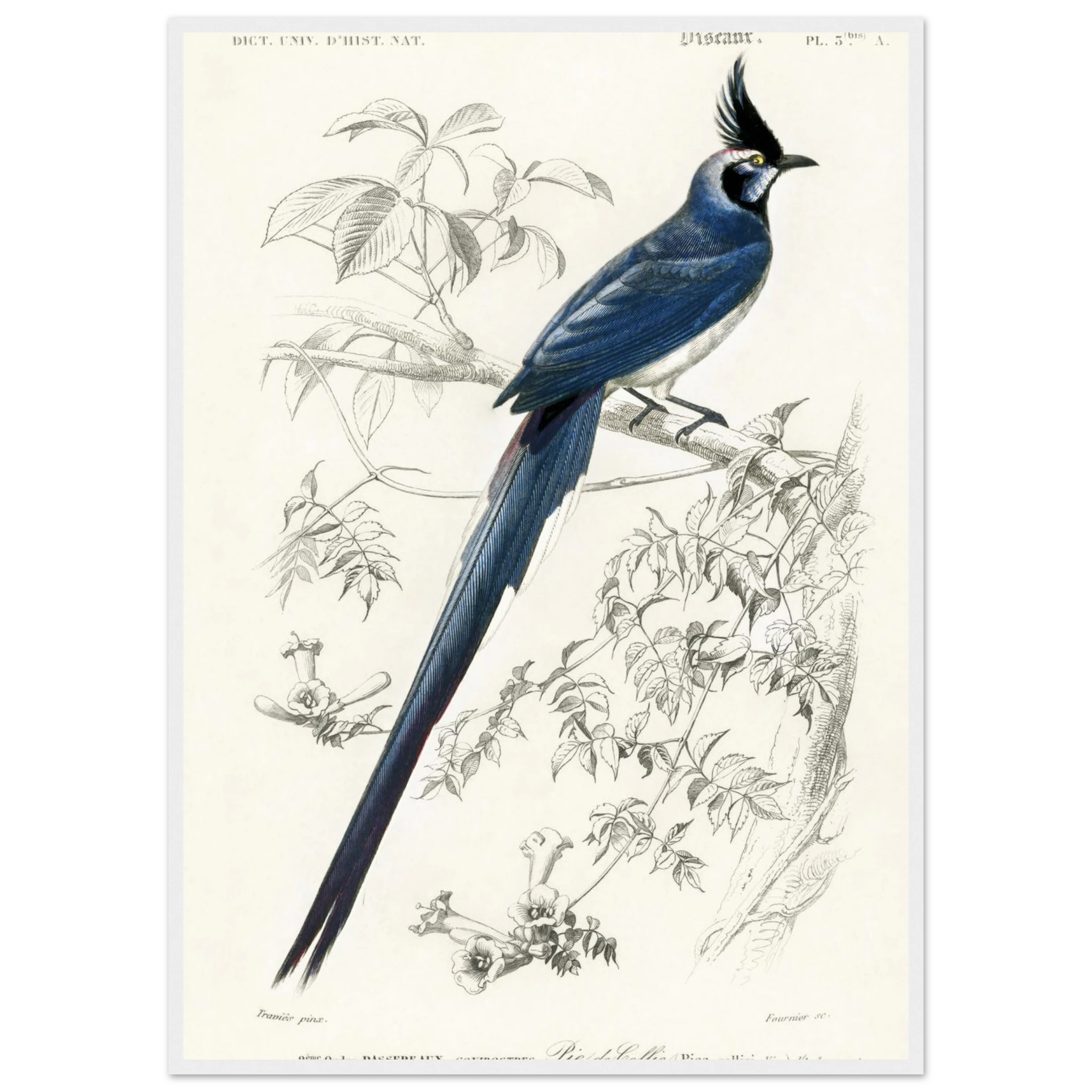 4f63cb0b-6bcf-4362-b482-7a1d98a615f7