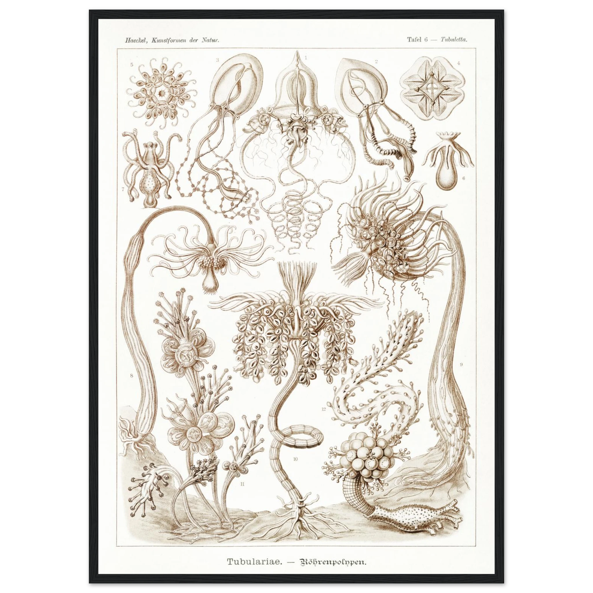 4f83c317-4389-4f75-a880-e9582647c8ee