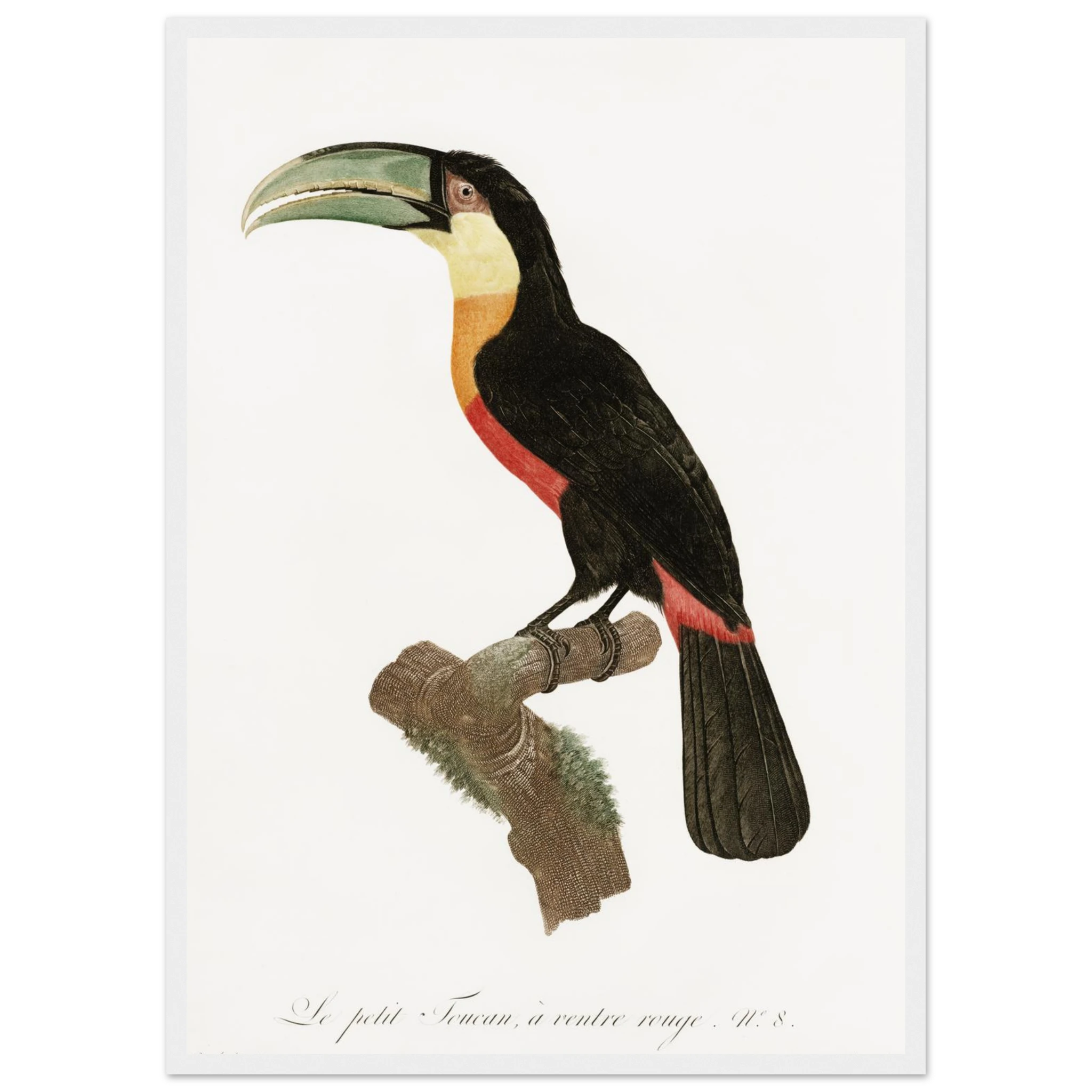 4fb75af3-183d-46bb-98aa-3428adc34e52