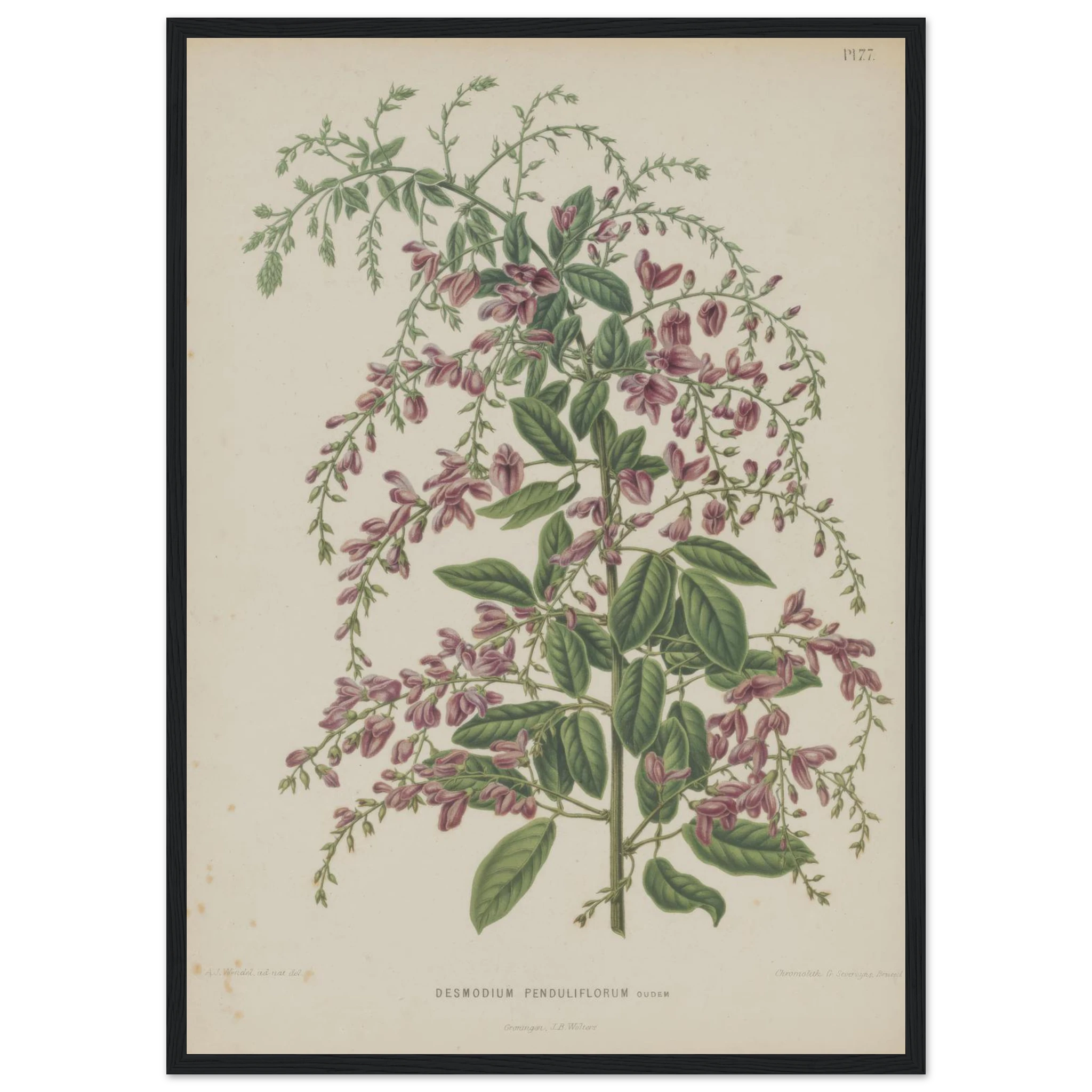 50281fae-ac84-43c2-bc4d-adf5c11c2dec