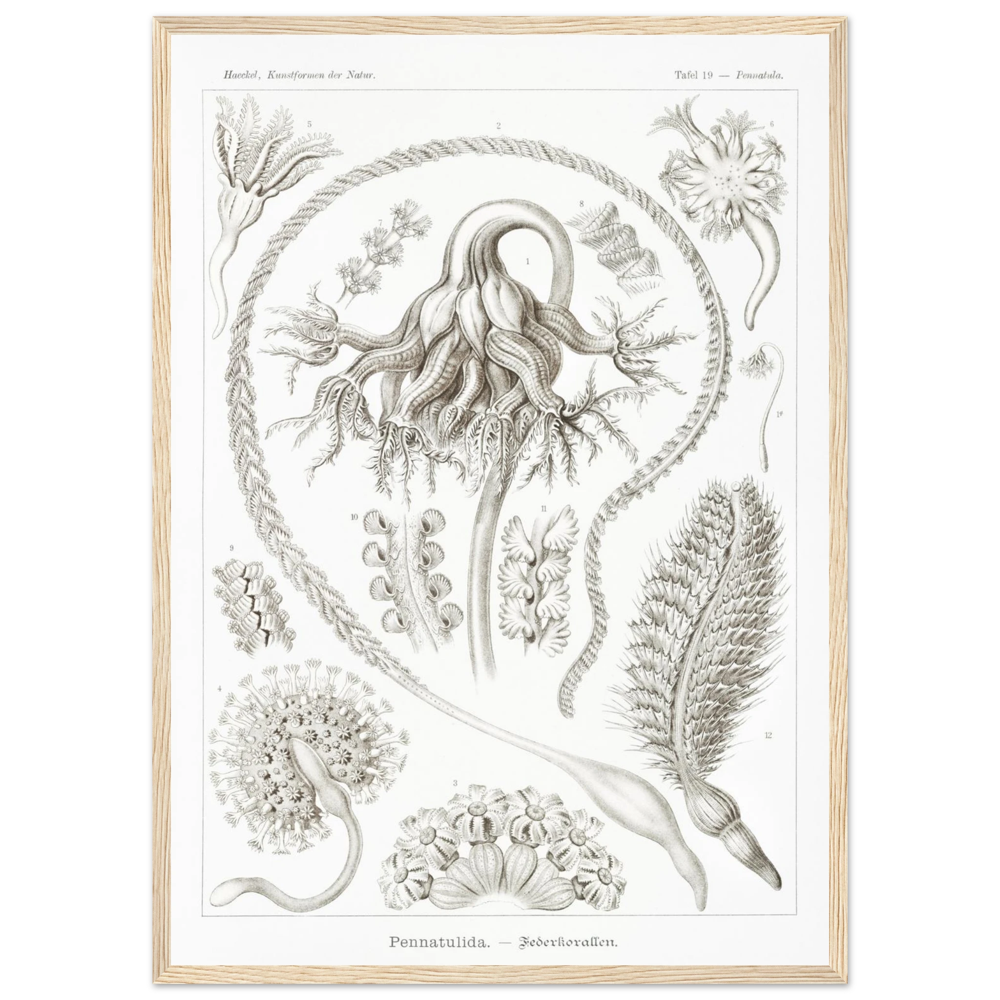 5067b160-880d-4af3-bea0-887a96ad4566