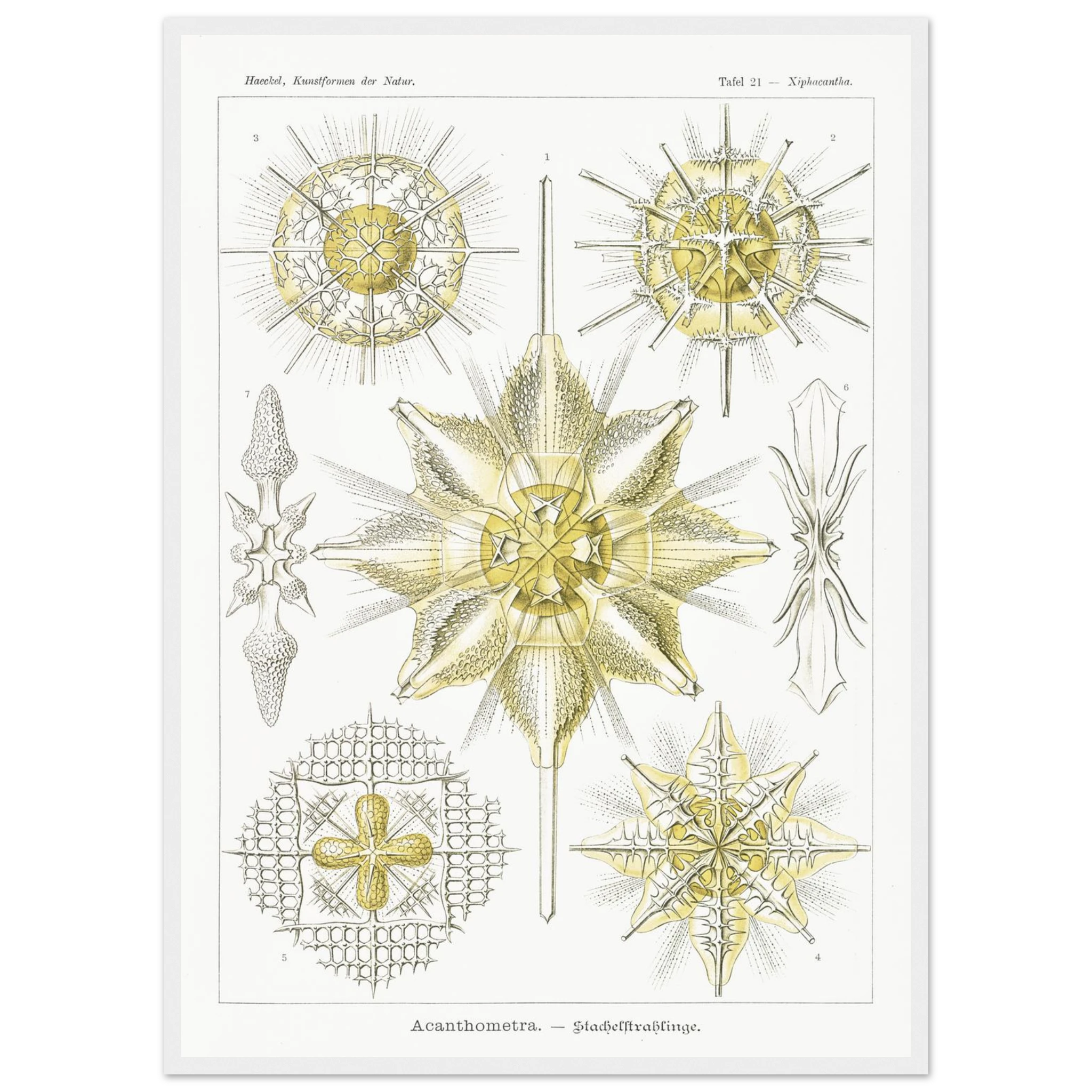 506a4997-2890-4960-9b66-4f9a0afe60e8