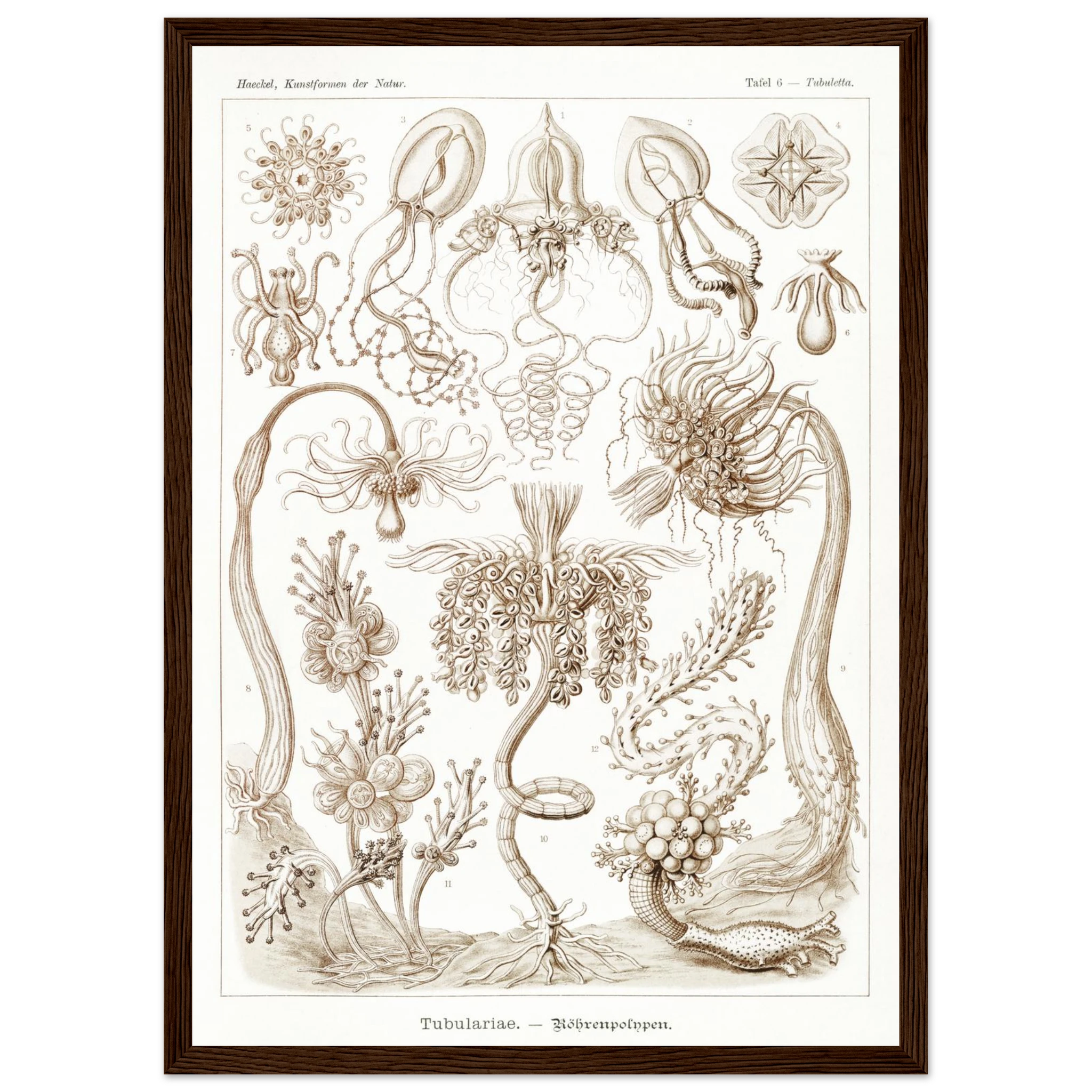 509203cc-fb87-4363-a0e7-ce3cb6f3f32f