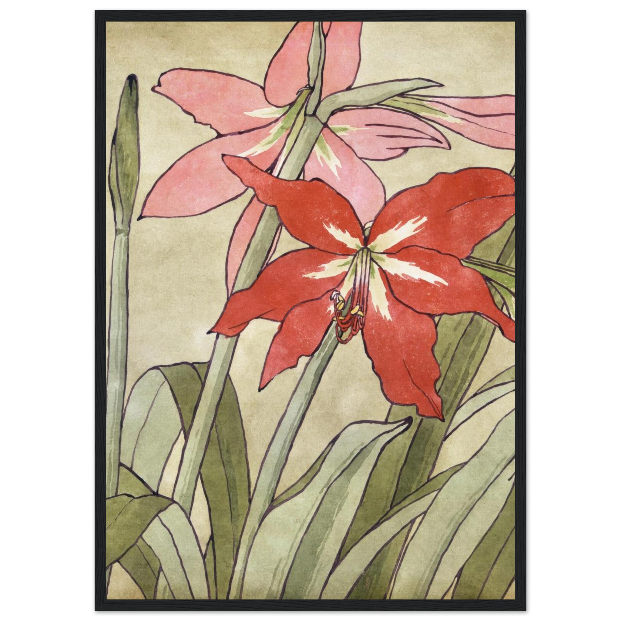 50bc5a2e-49ec-4546-809a-0759d7e90bbd