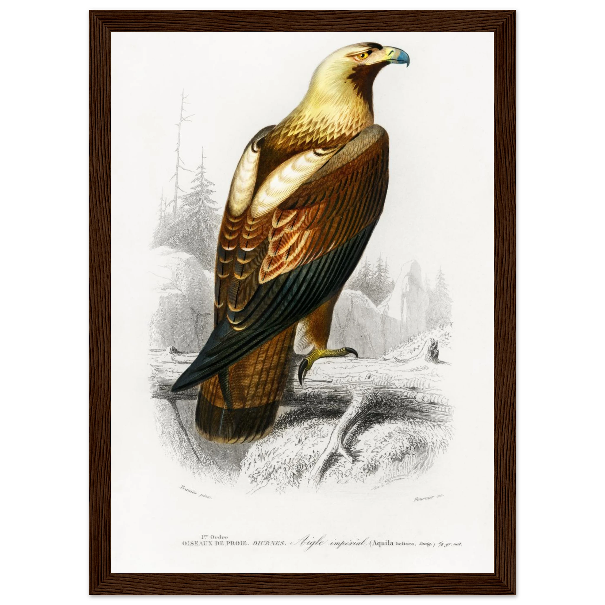 50ecd775-acd7-4008-b71a-a4adbe312ba4