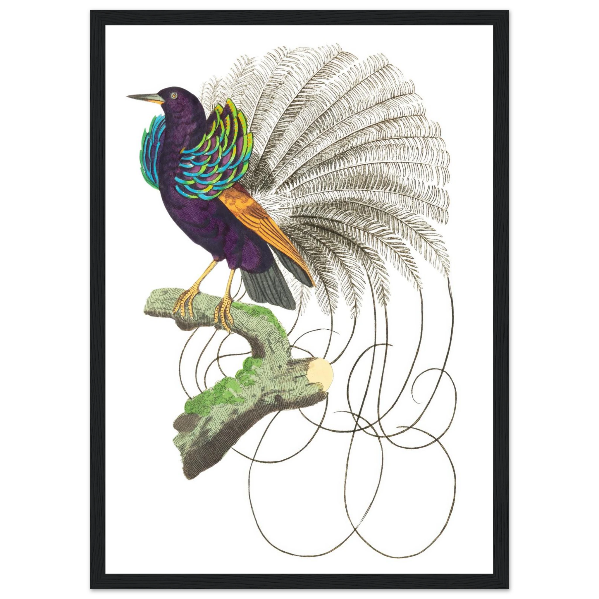 51123c77-5156-4008-b02f-e2b4d9c20c7a