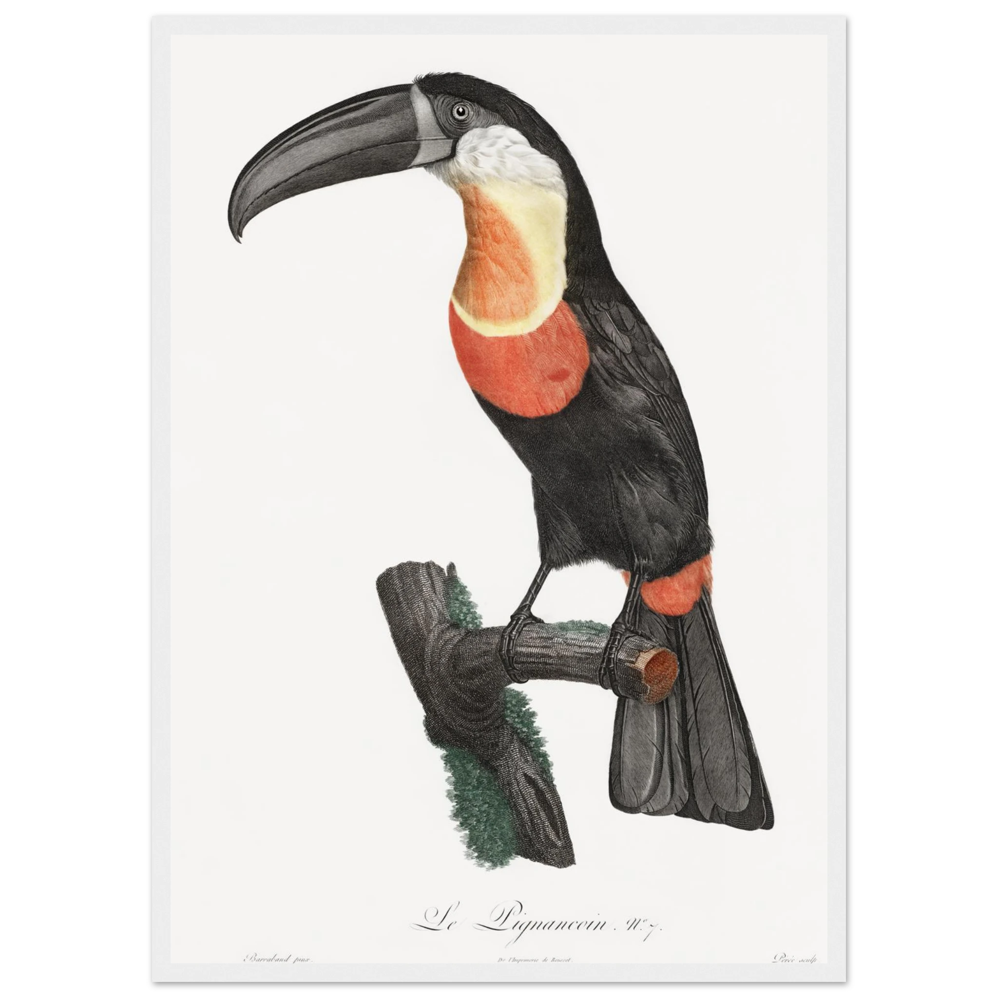 512c349e-97e3-4bd7-a4dd-a9c67f1c537b