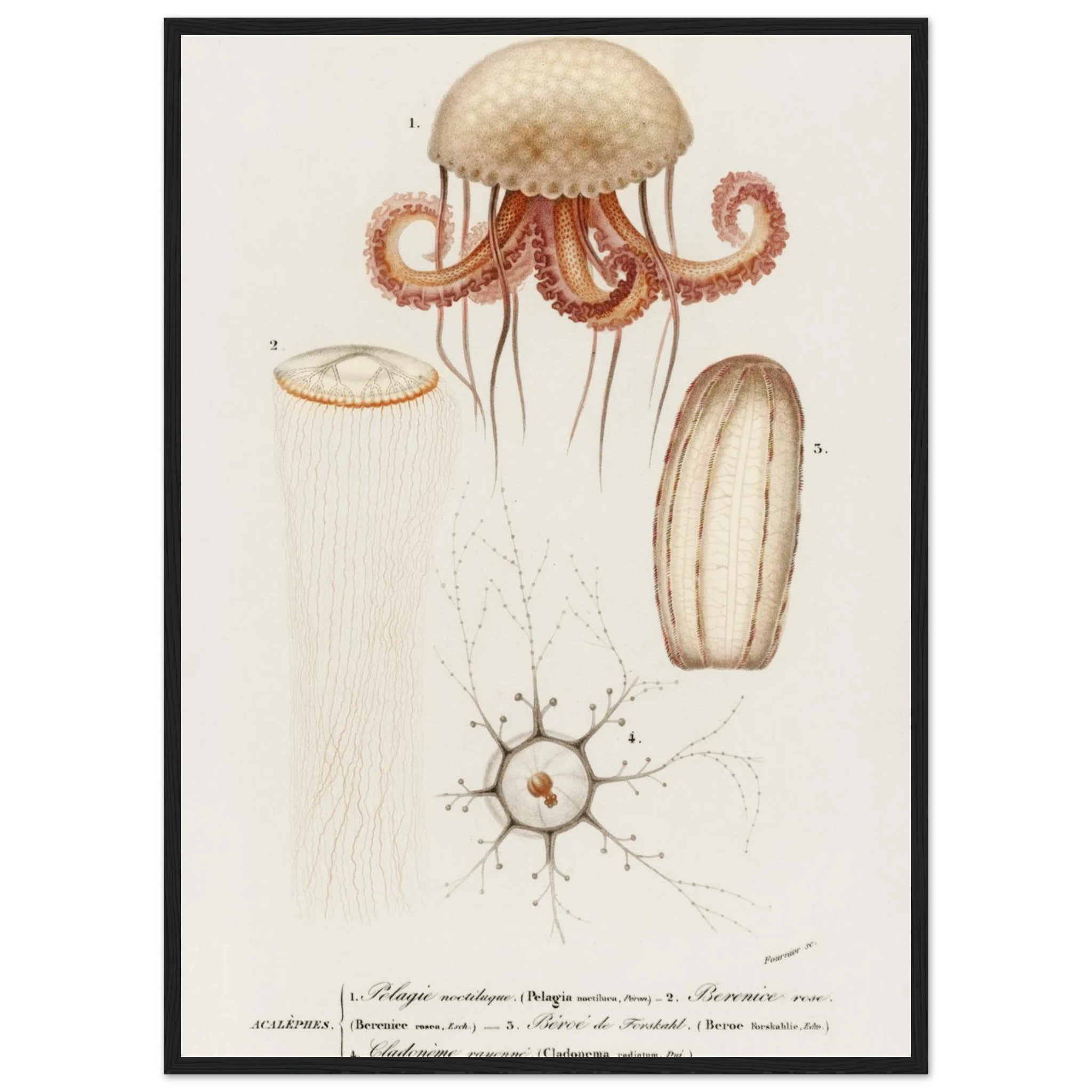 5135f3e8-c71c-4352-947d-0f096878a25d