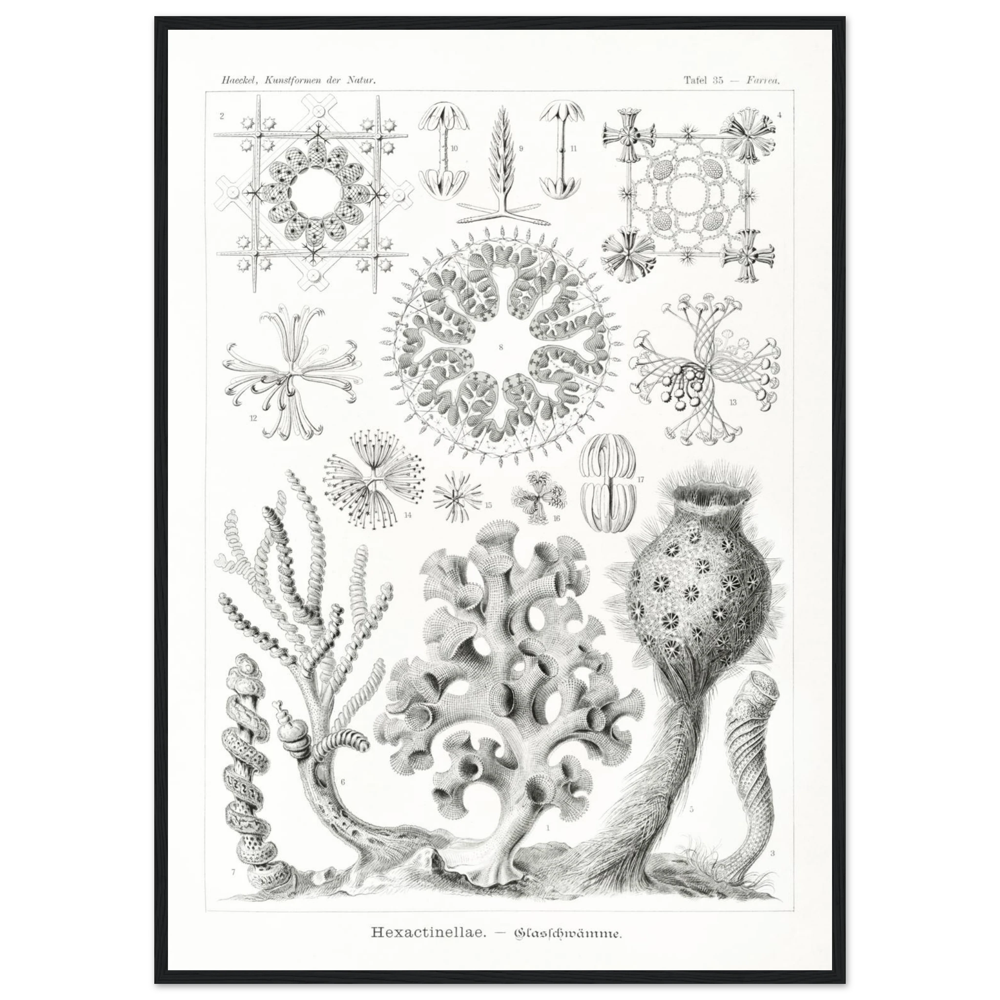 513b6bee-5353-4fc2-9003-1853d91c9ab1