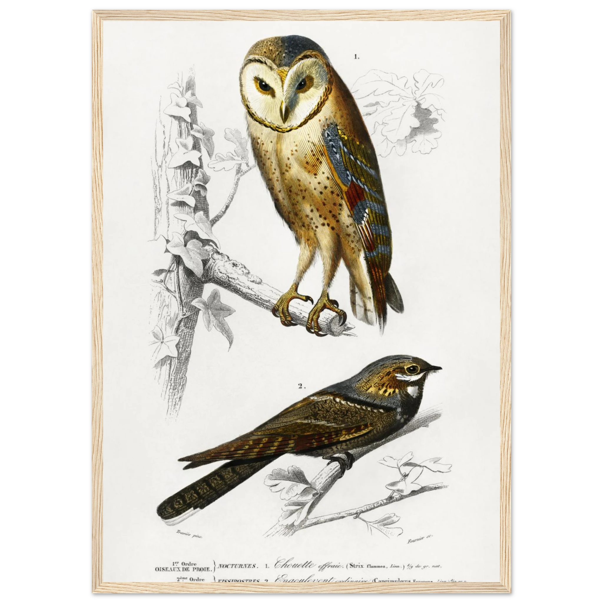 5142405e-3dca-4678-8ea0-bfe31b845c80