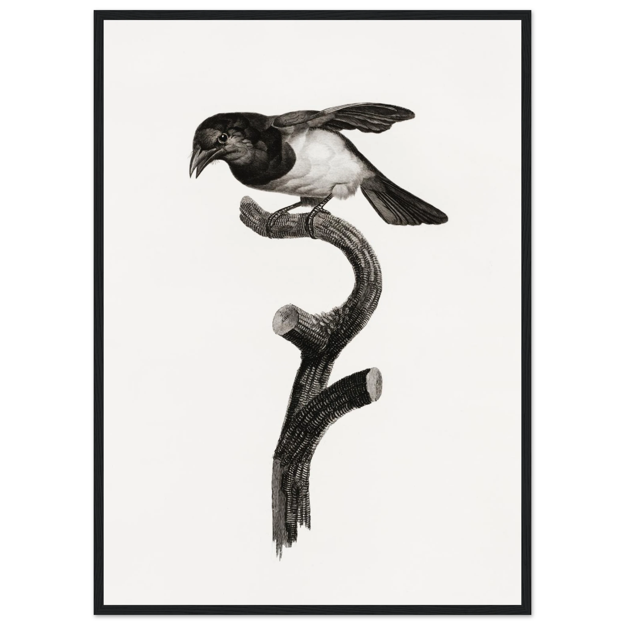 5181da18-74fc-4b2e-b820-a9ddfe888fe7