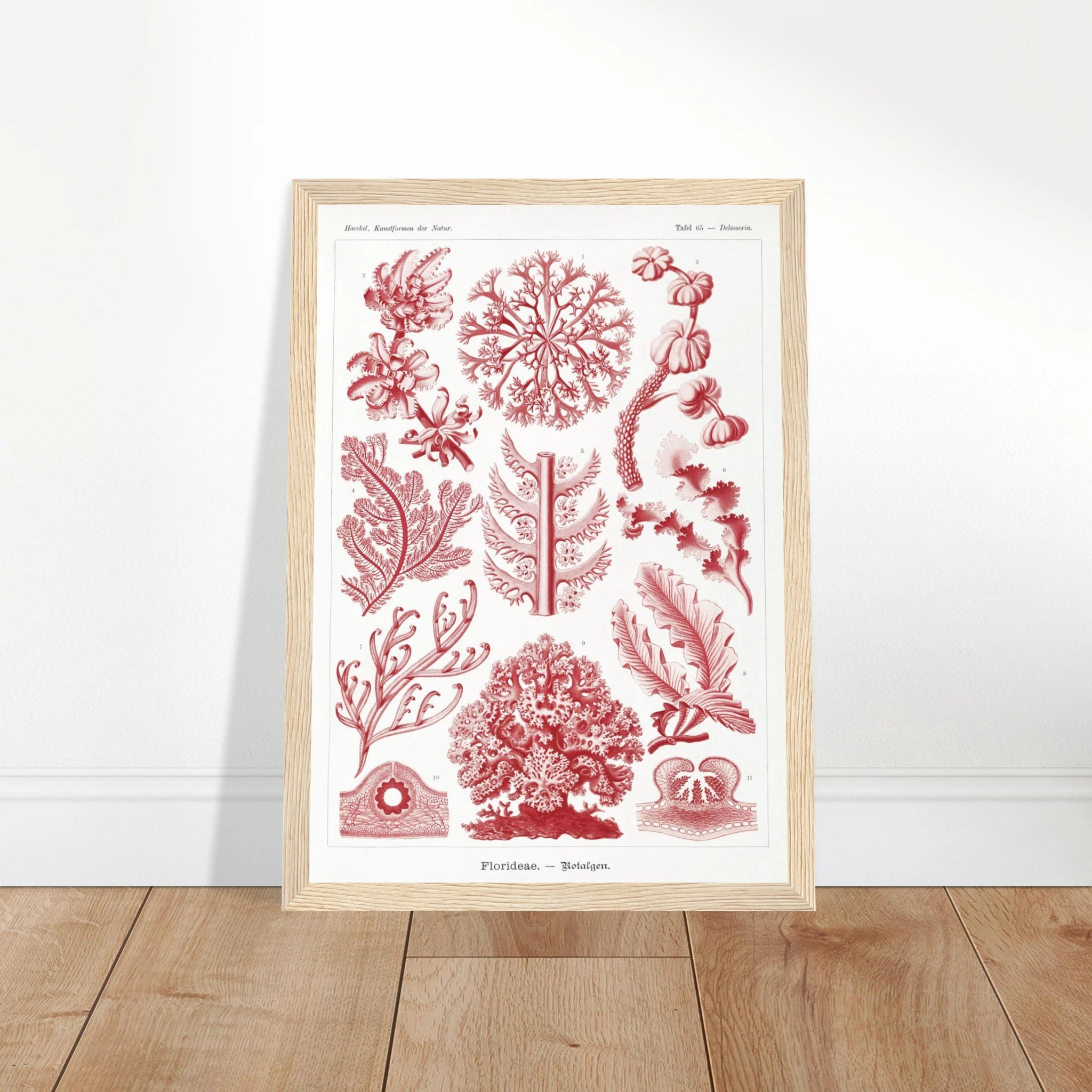 51821fc6-9d4d-4af7-8da7-6644ad9d78eb